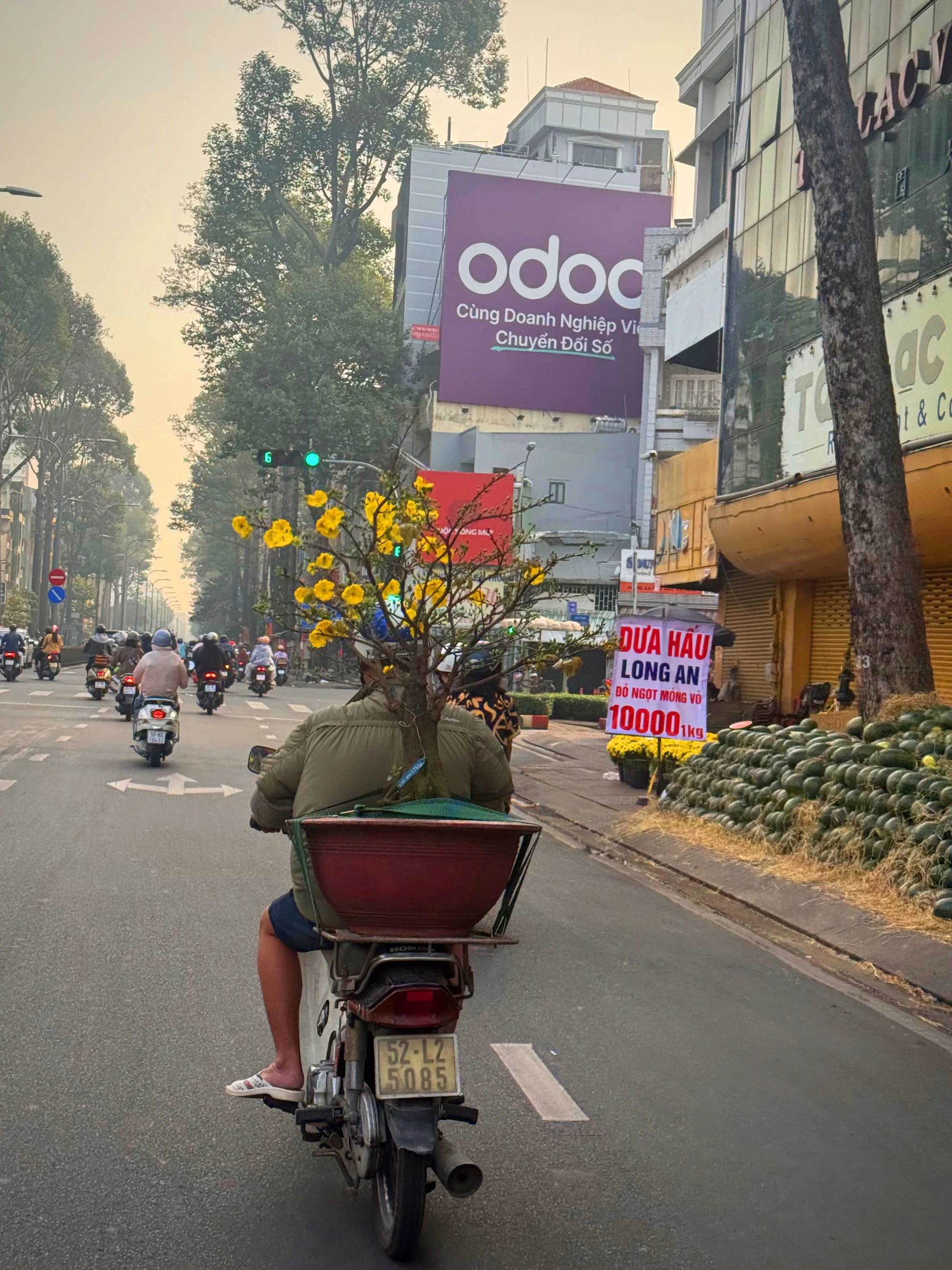 MANG XUÂN VÀO PHỐ_LÊ HẠ VIÊN.jpeg