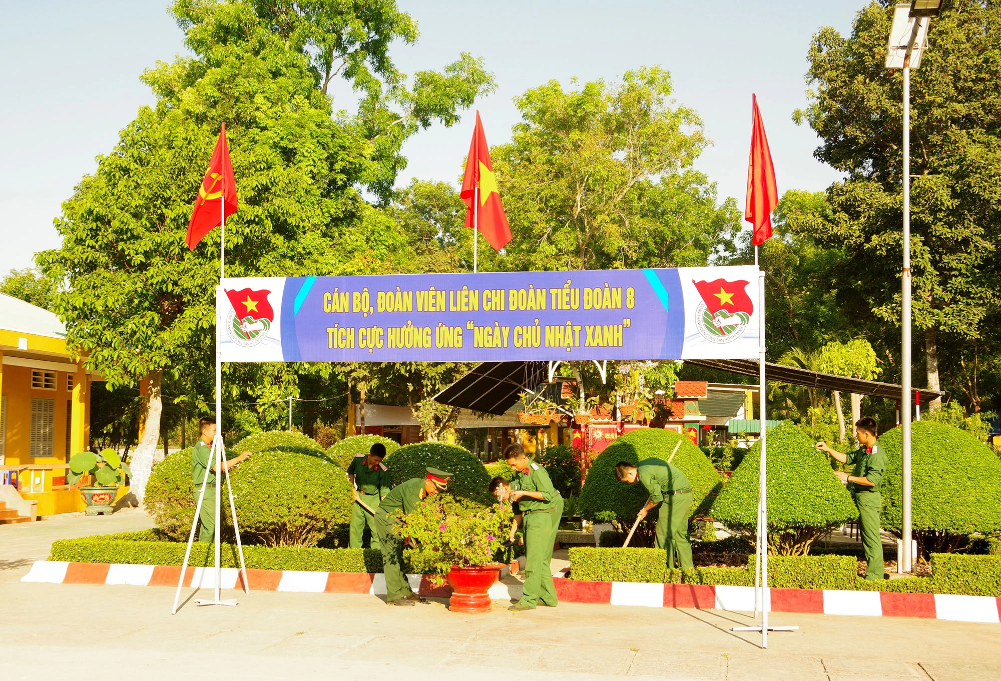 ảnh 4.2.JPG