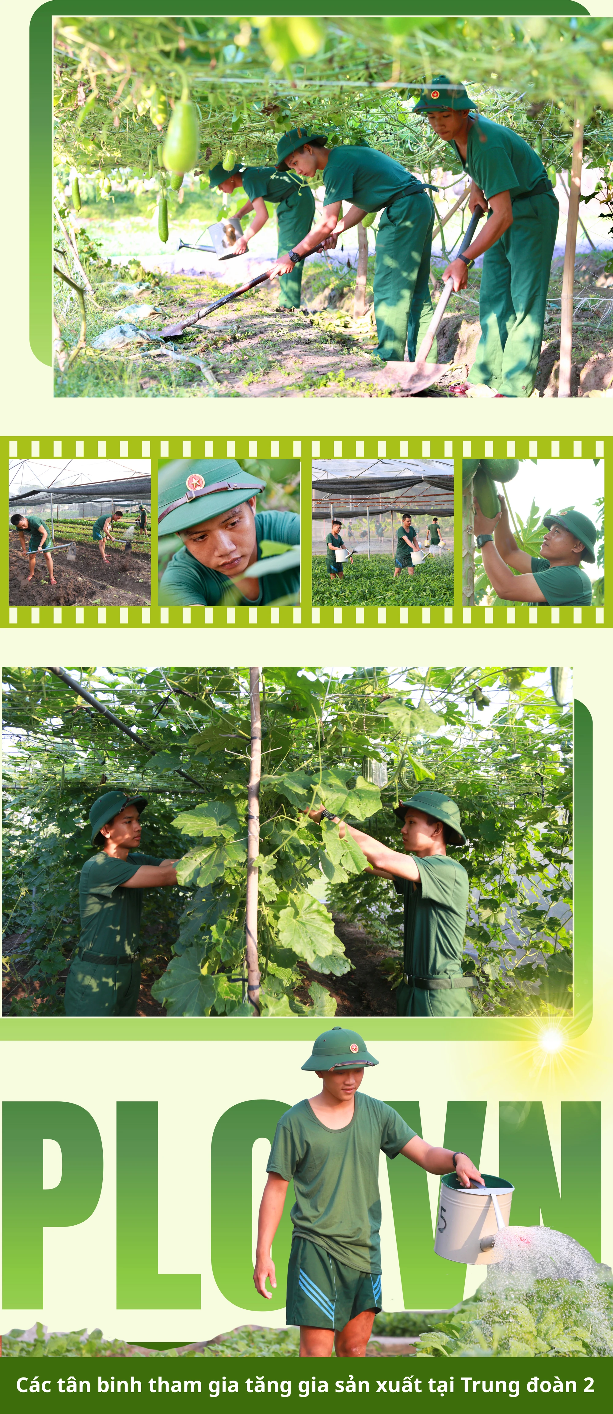 GHÉP CỤM ẢNH 12.jpg