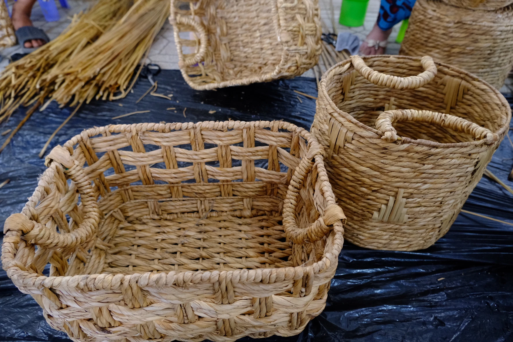 DSCF8375.jpg
