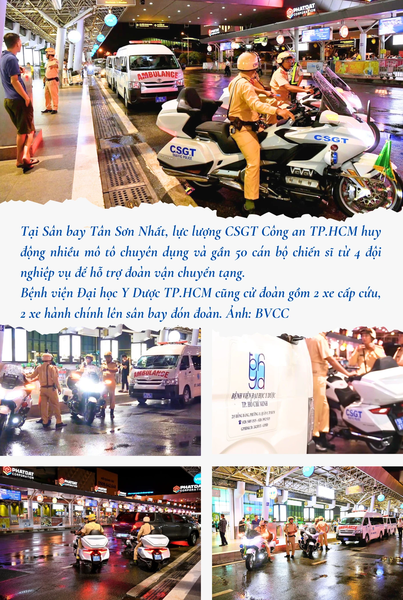 ca-ghep-tim-7-5154.png