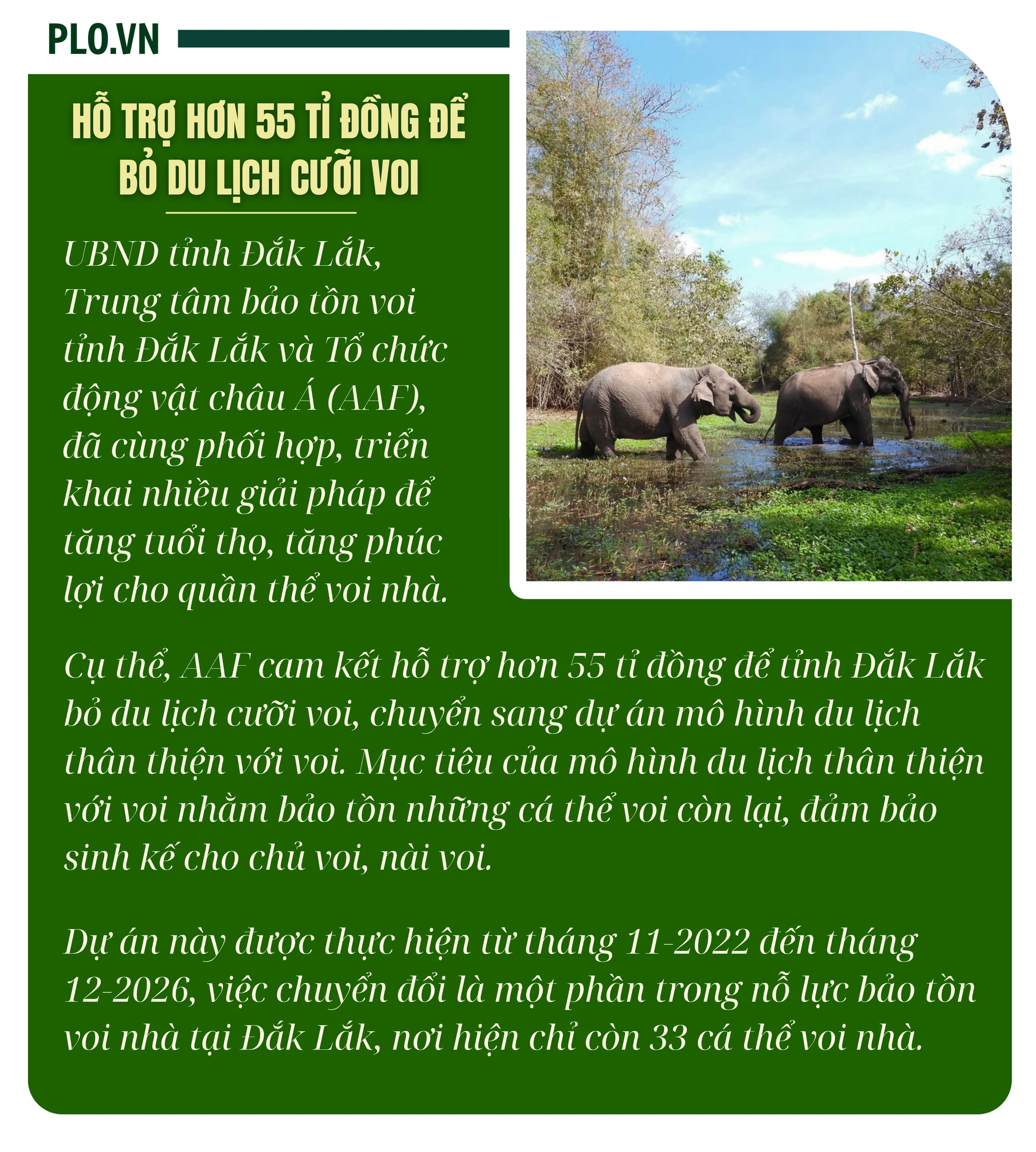 BOX_ Hỗ trợ hơn 55 tỉ đồng để bỏ du lịch cưỡi voi.png