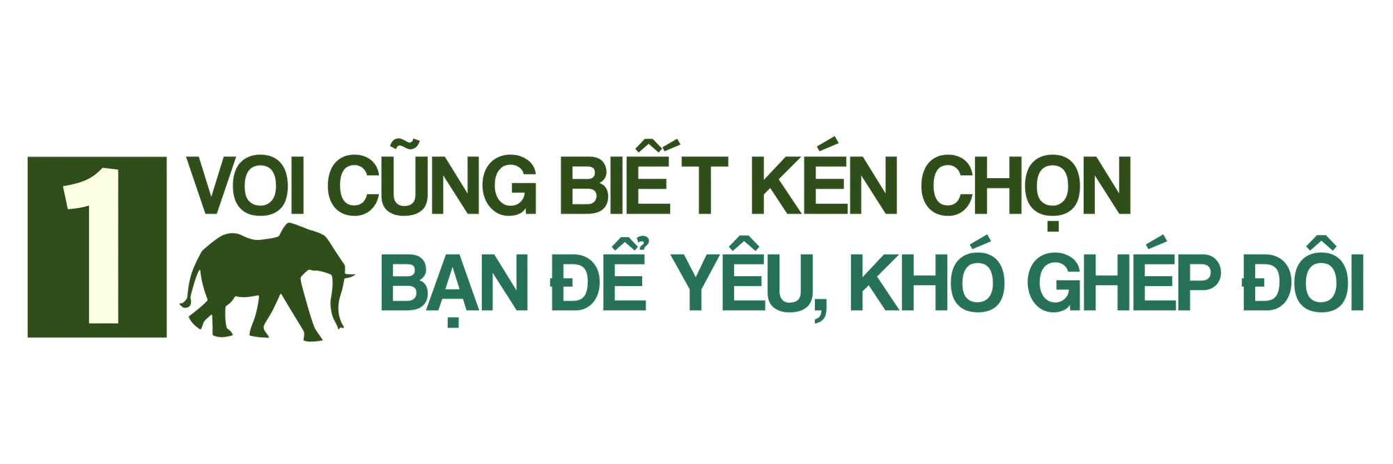 TRUNG ĐỀ 1.png