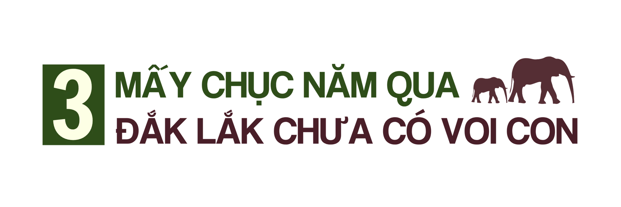 TRUNG ĐỀ 3.png