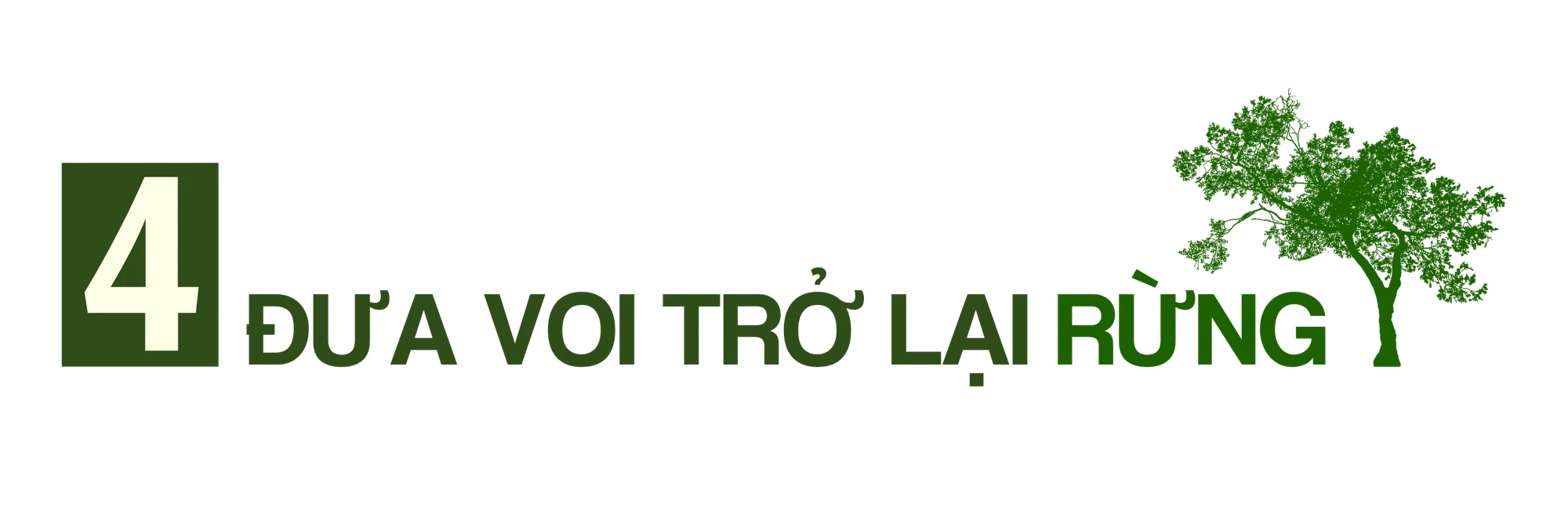 TRUNG ĐỀ 4.png