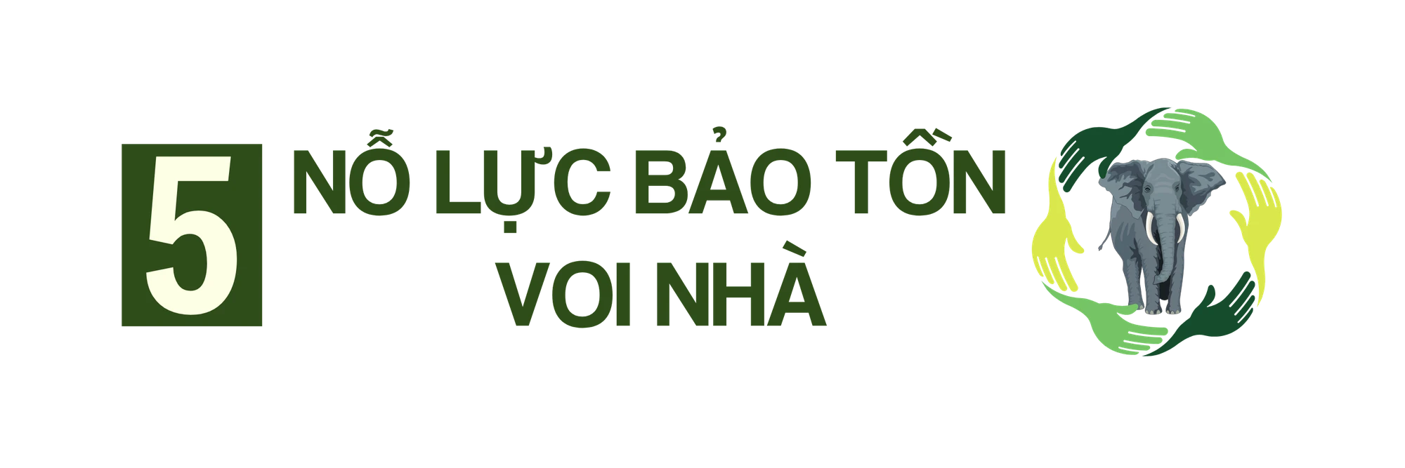 TRUNG ĐỀ 5.png