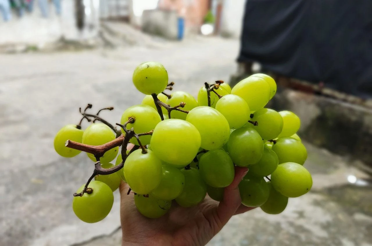 Nên tiêu thụ trái cây và rau quả tươi. Ảnh: NHẬT LINH Nên tiêu thụ trái cây và rau quả tươi. Ảnh: NHẬT LINH