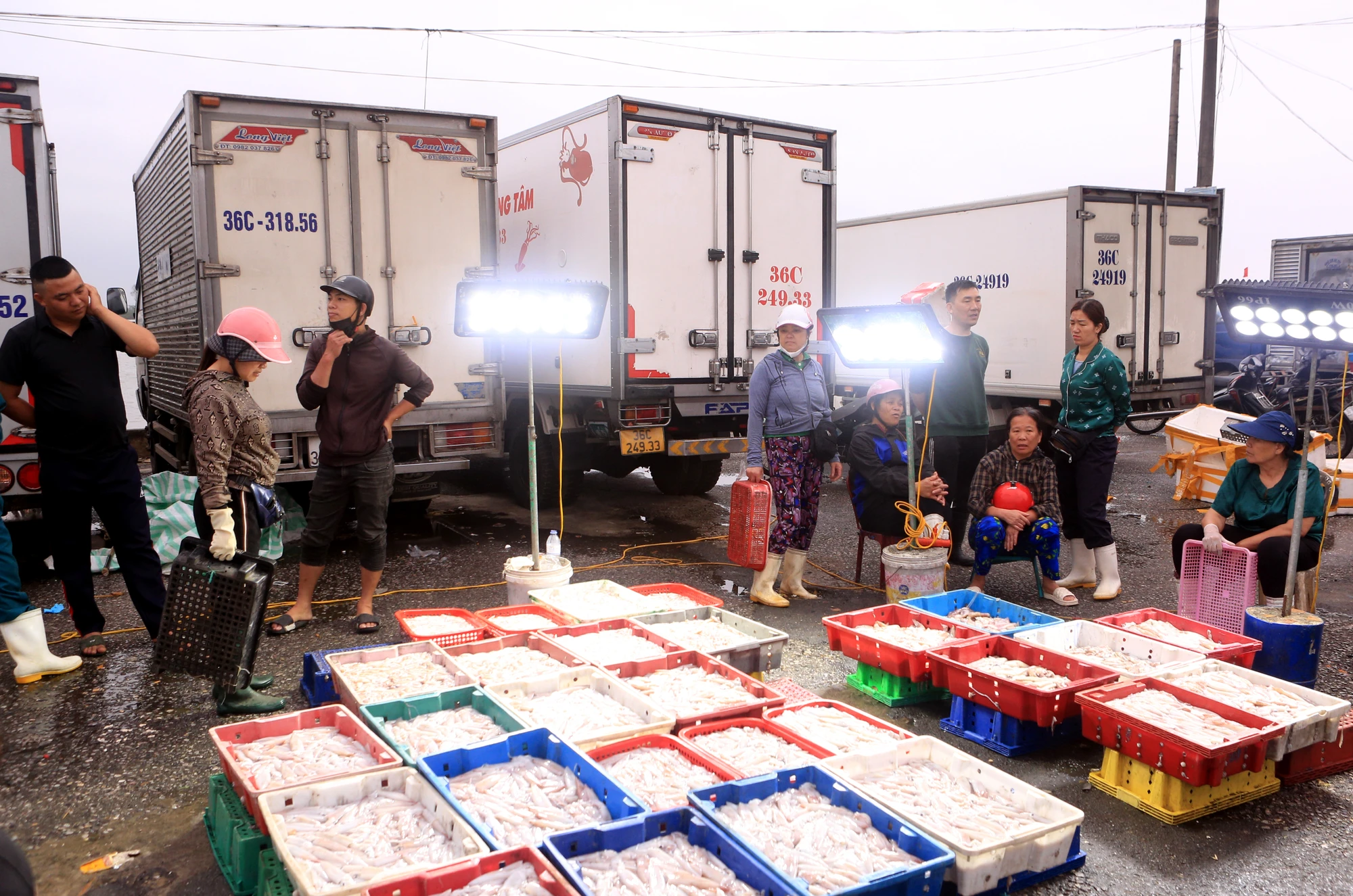thanh-hoa-no-luc-go-the-vang-iuu-2.JPG