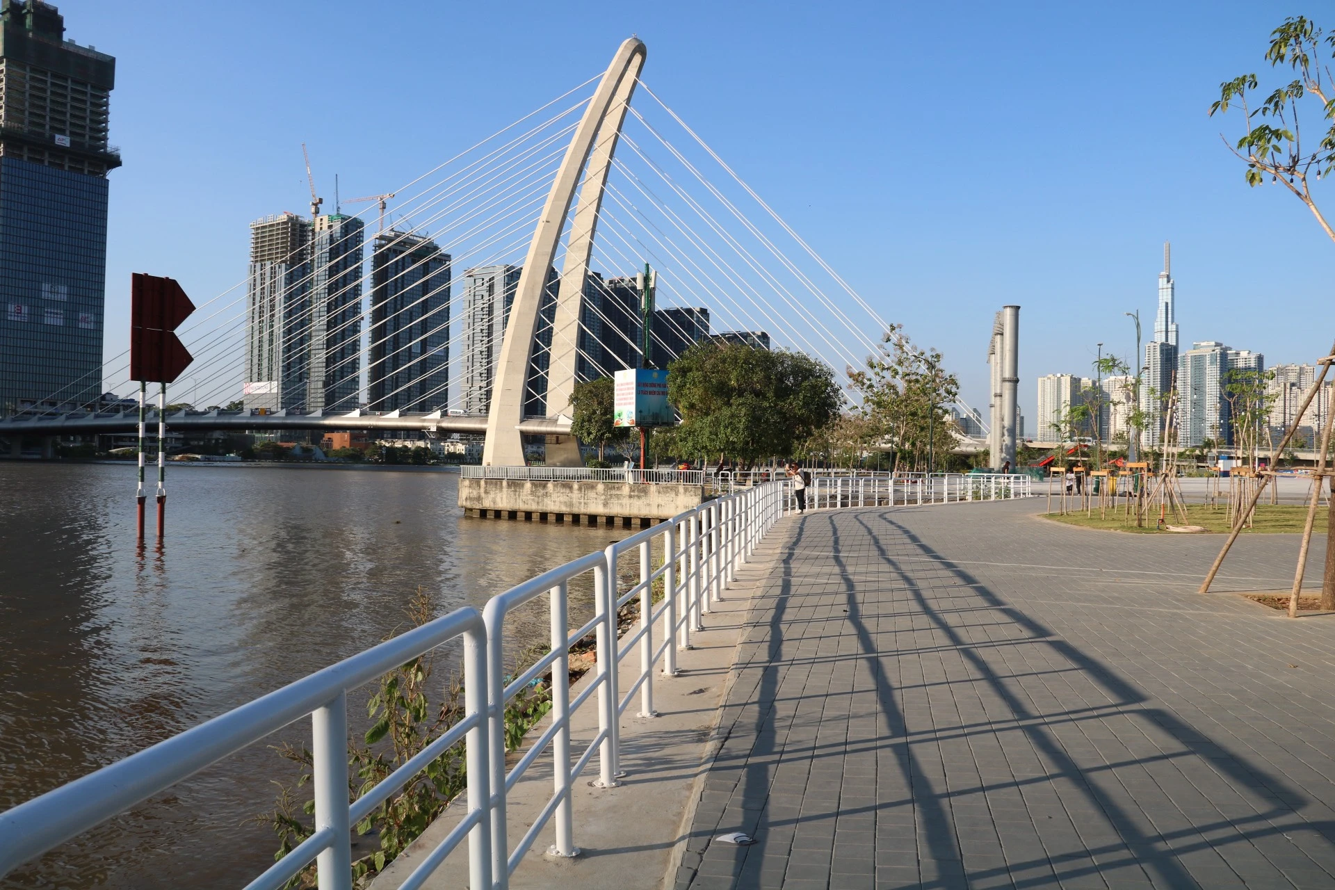 hoa-huong-duong-39.jpg