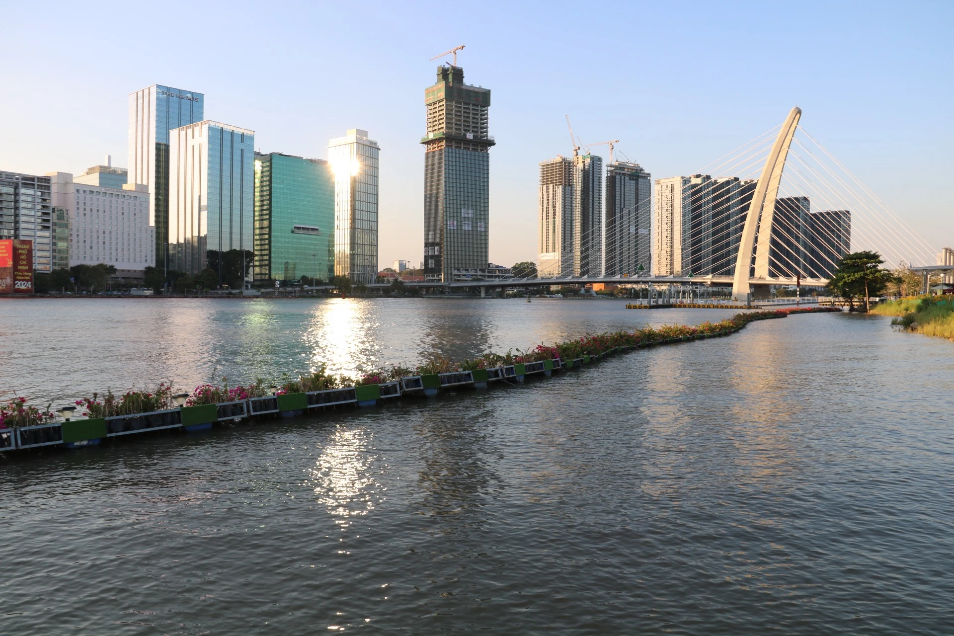 hoa-huong-duong-54.jpg