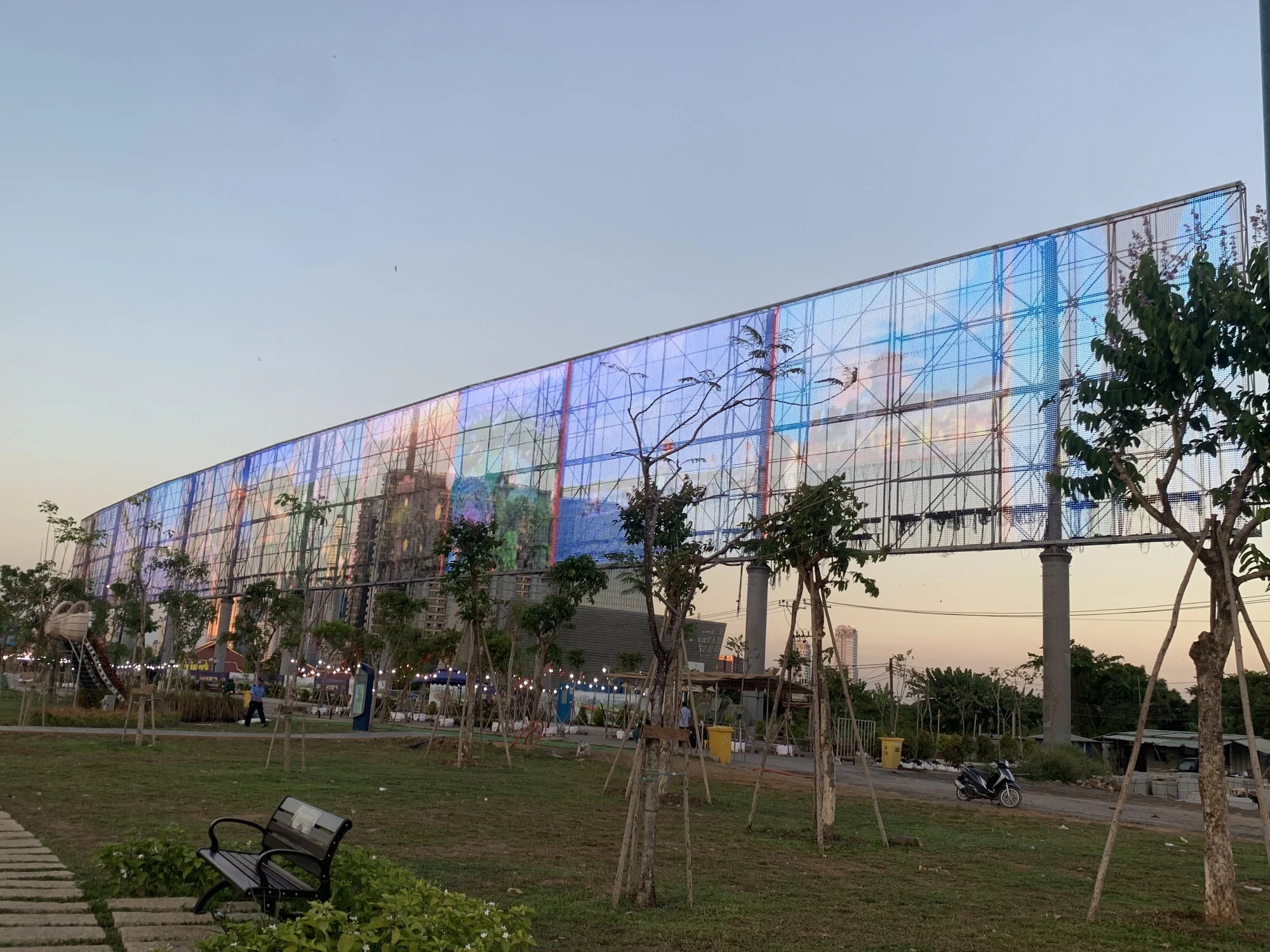 hoa-huong-duong-62.jpg