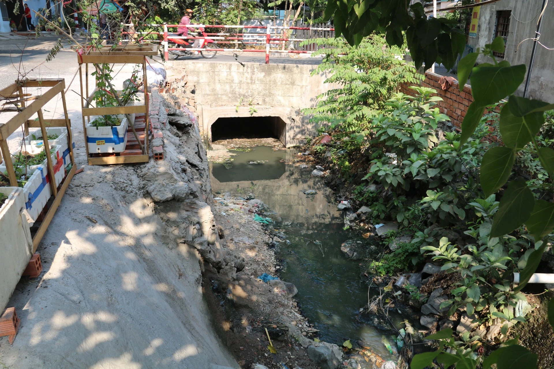 du-an-chong-ngap-san-bay-Tan-Son-Nhat-3.jpg