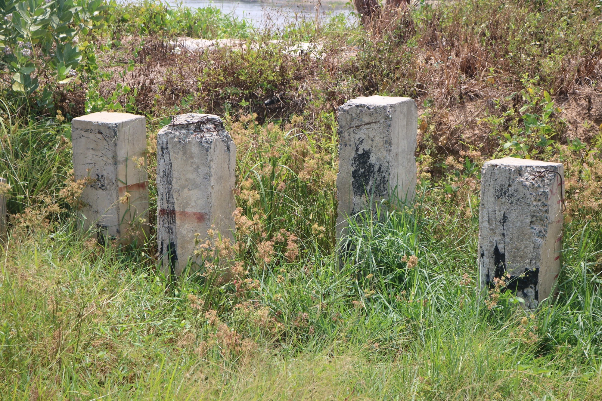 du-an-Chong-sat-lo-ban-dao-Thanh-Da-11.jpg