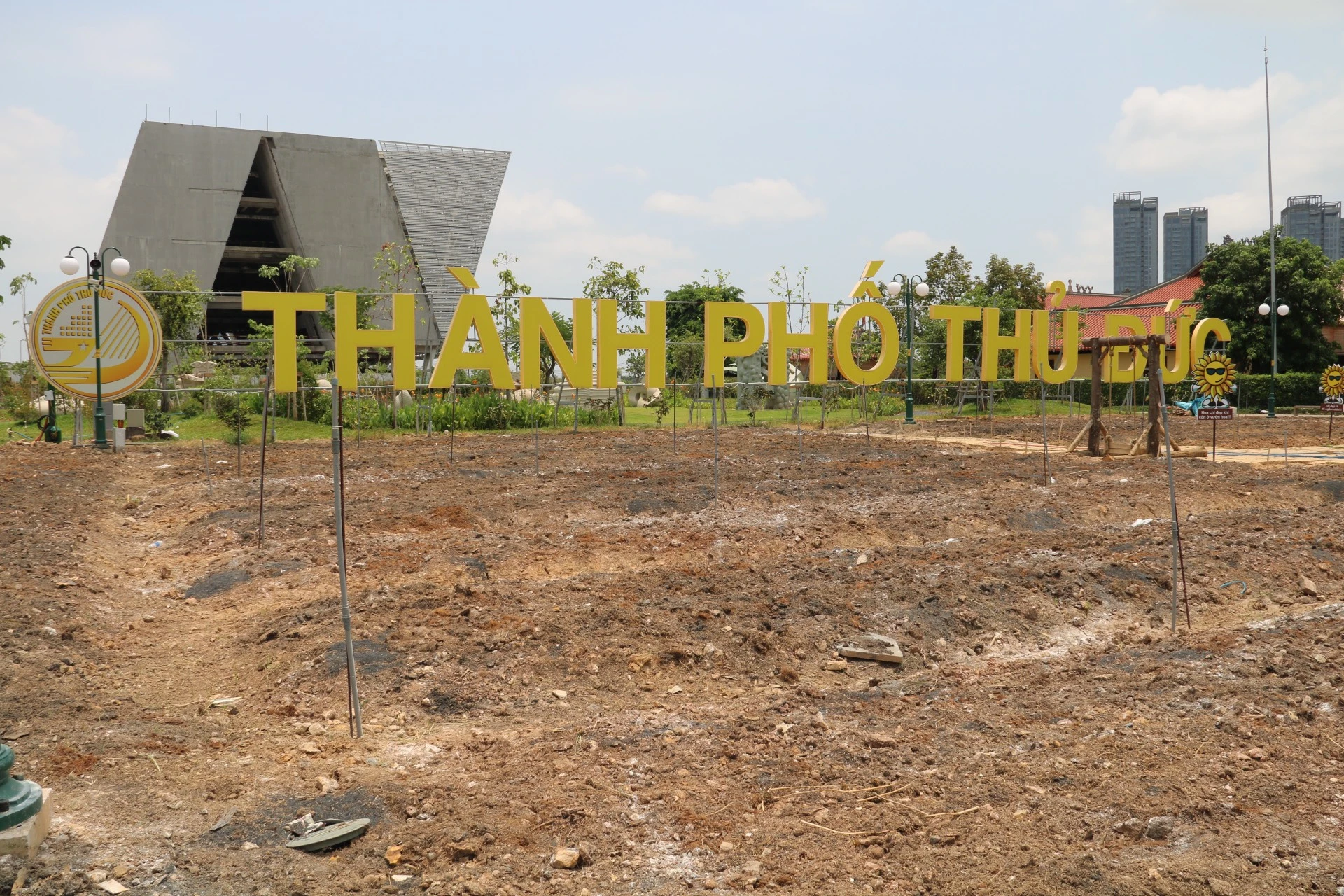 hoa-huong-duong-65.jpg