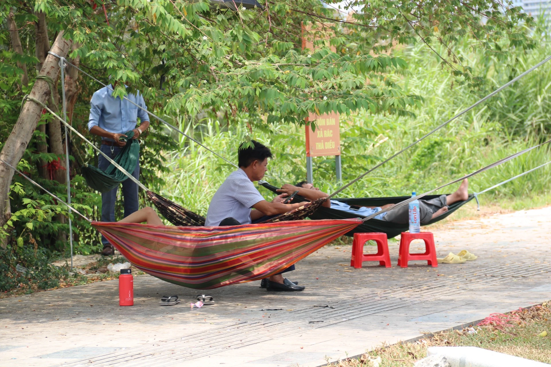 tranh-nang-11.jpg