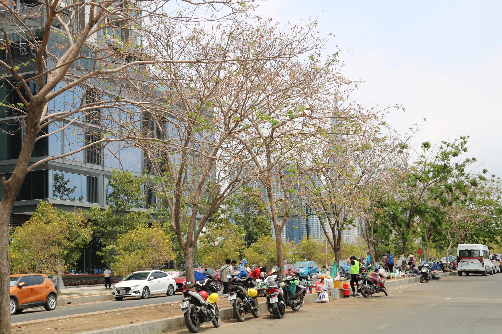 tranh-nang-12.jpg