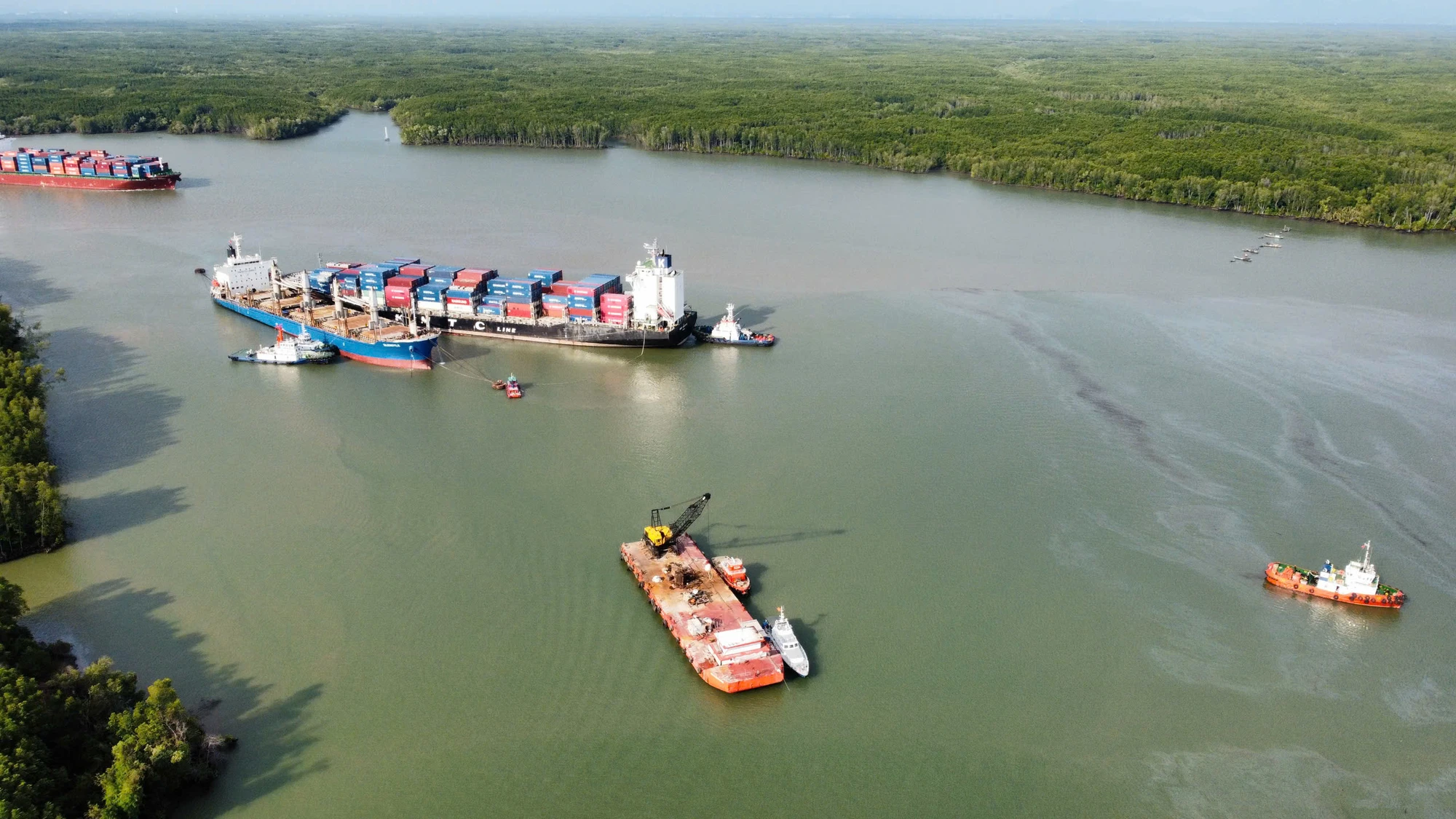30 ha rừng bị ảnh hưởng, hơn 4 tấn cá chết sau sự cố va chạm tàu hàng gây tràn dầu ở Cần Giờ