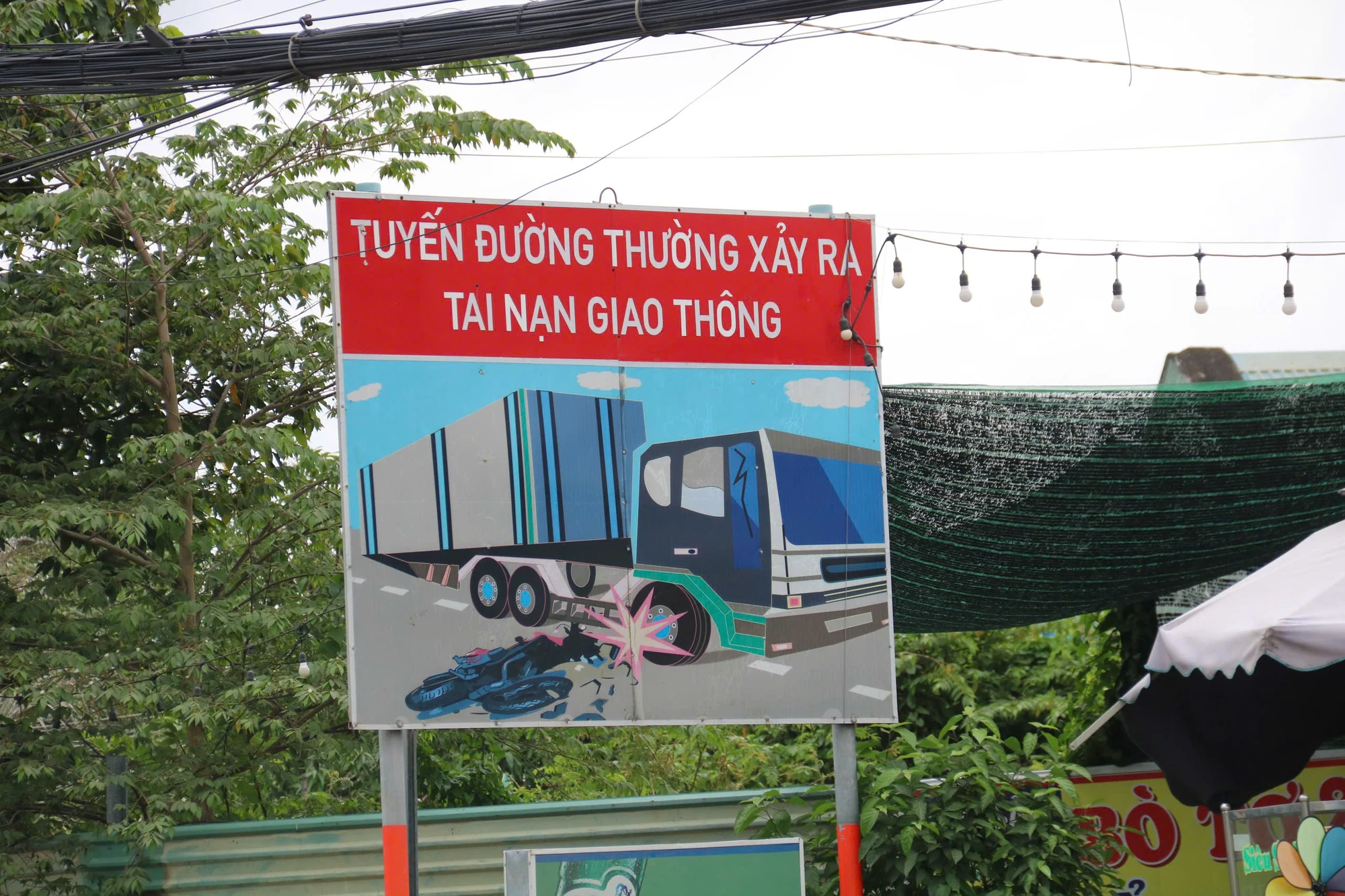 nguyen-duy-trinh-8.jpg