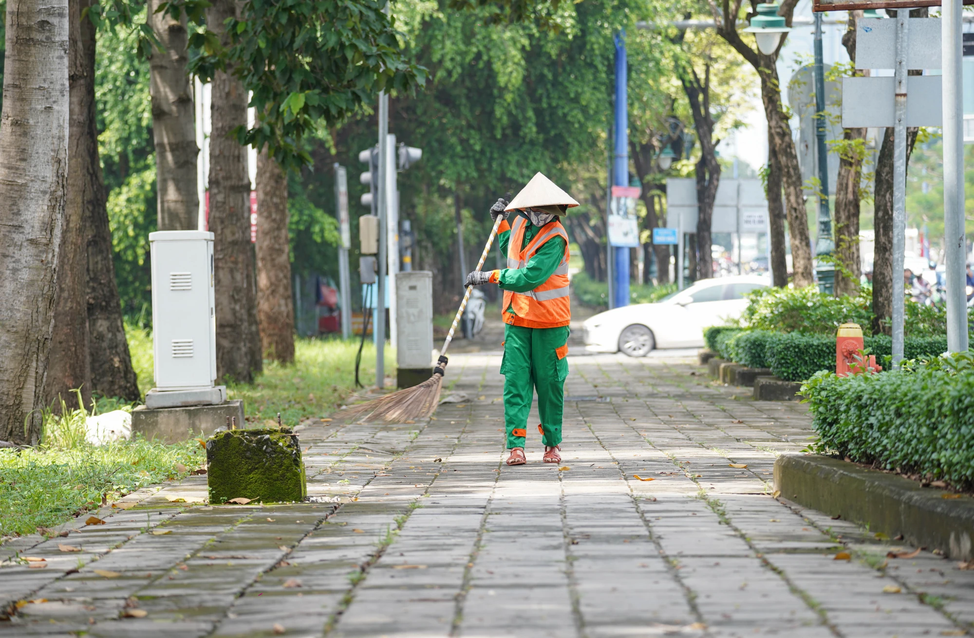 lan-duong-uu-tien-cho-xe-dap-12.jpg