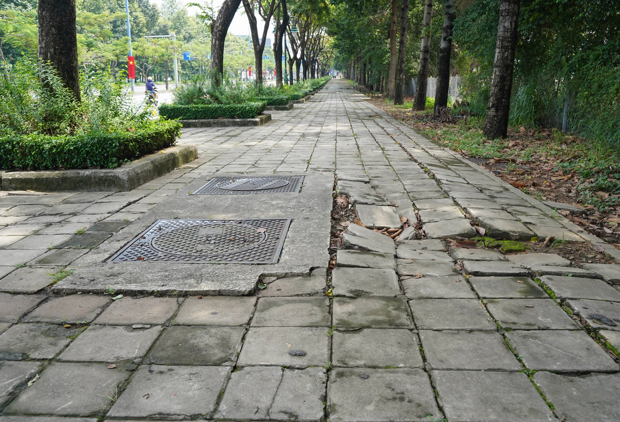 lan-duong-uu-tien-cho-xe-dap-13.jpg