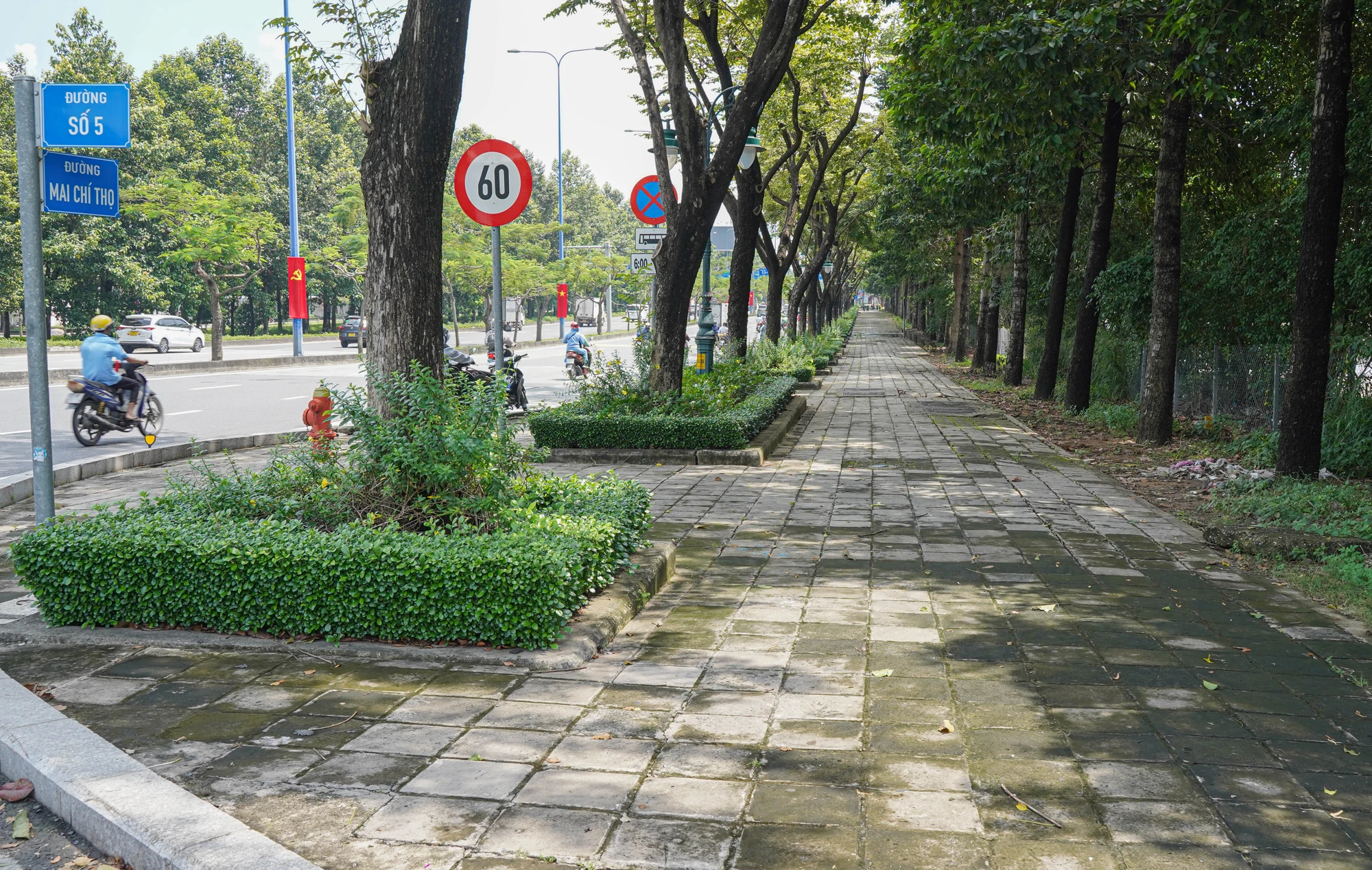 lan-duong-uu-tien-cho-xe-dap-14.jpg