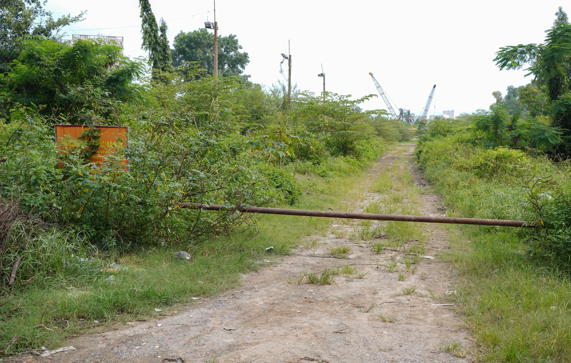 vanh-dai-2-13.jpg