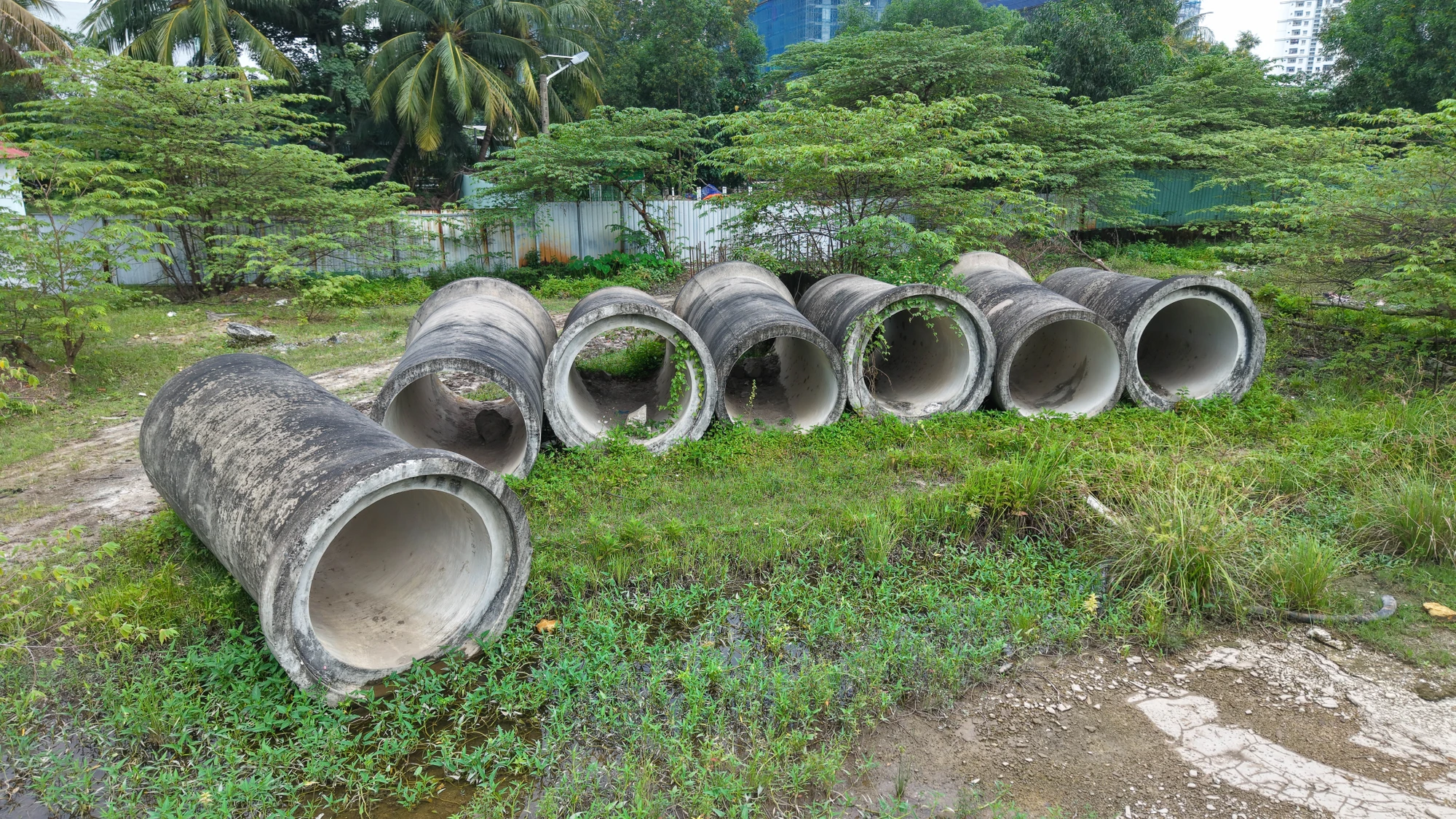 vanh-dai-2-6.jpg