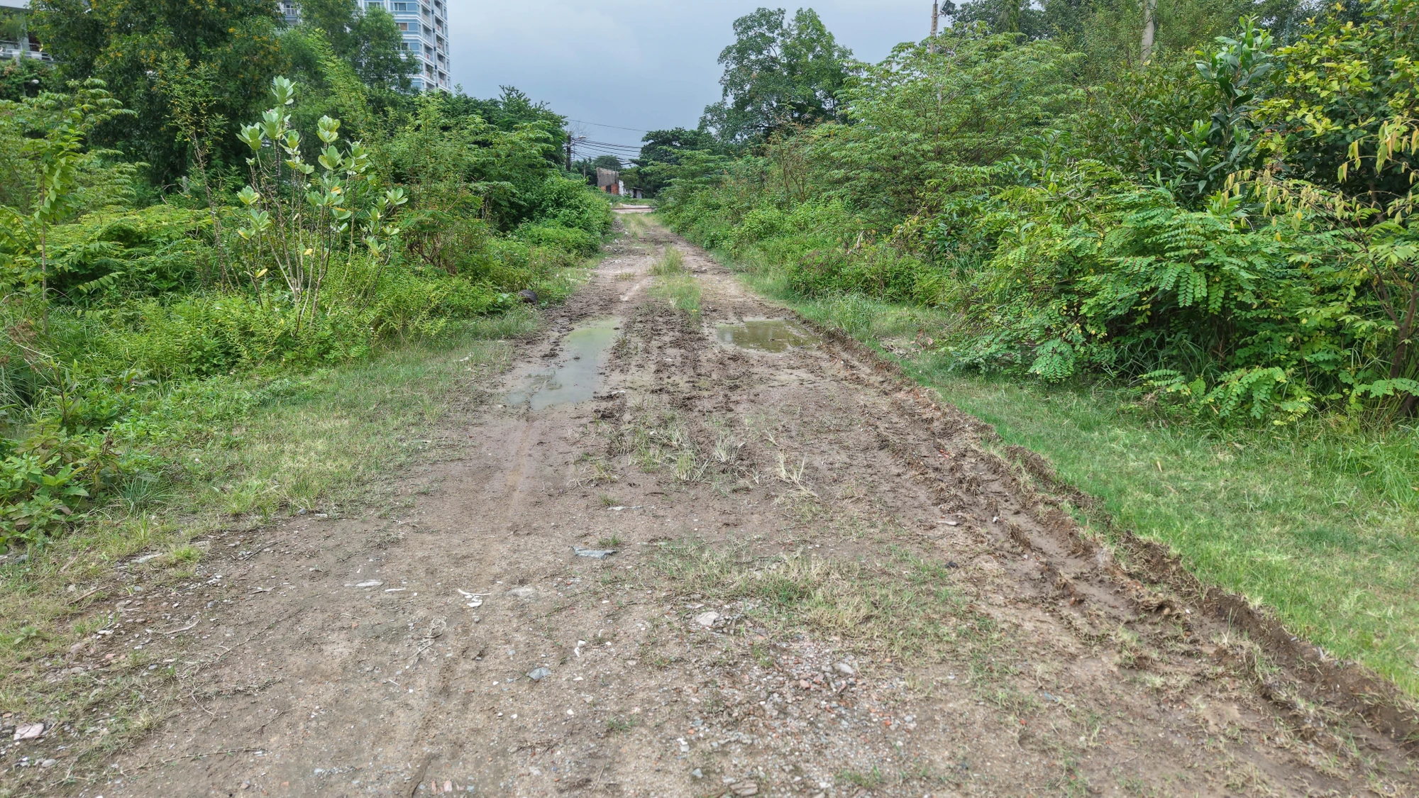 vanh-dai-2-9.jpg