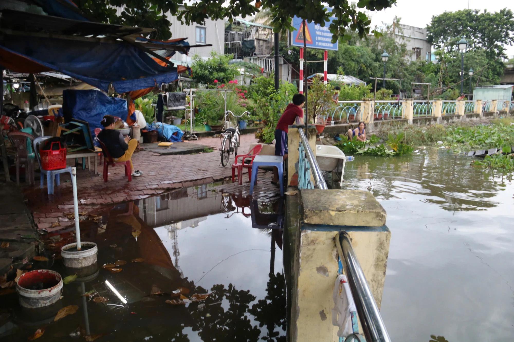 trieu-cuong-15.jpg