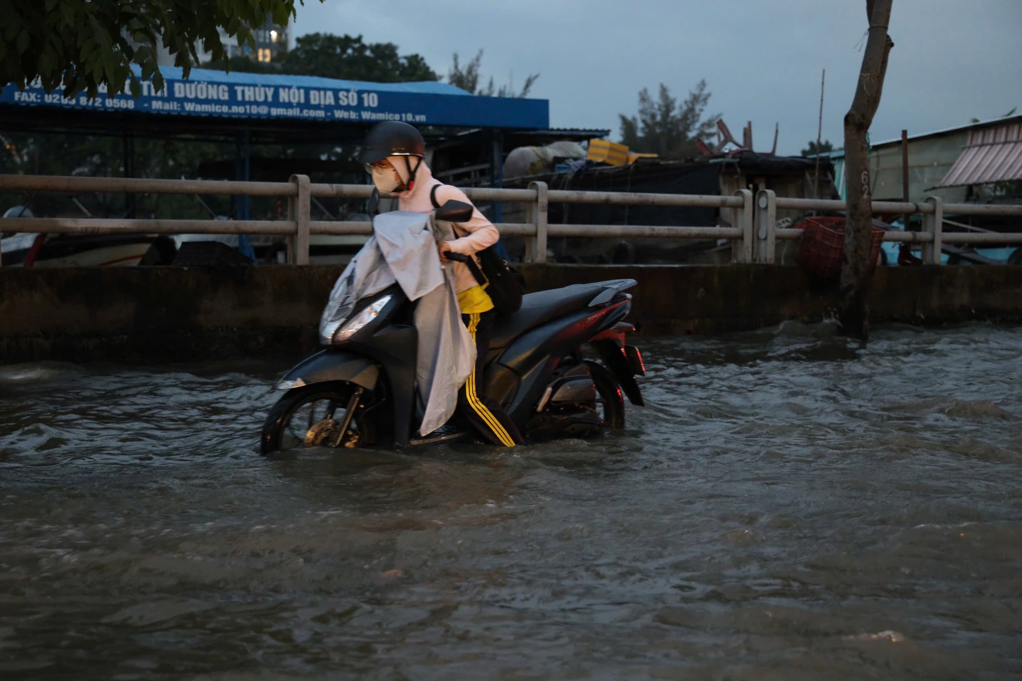 trieu-cuong-3.jpg