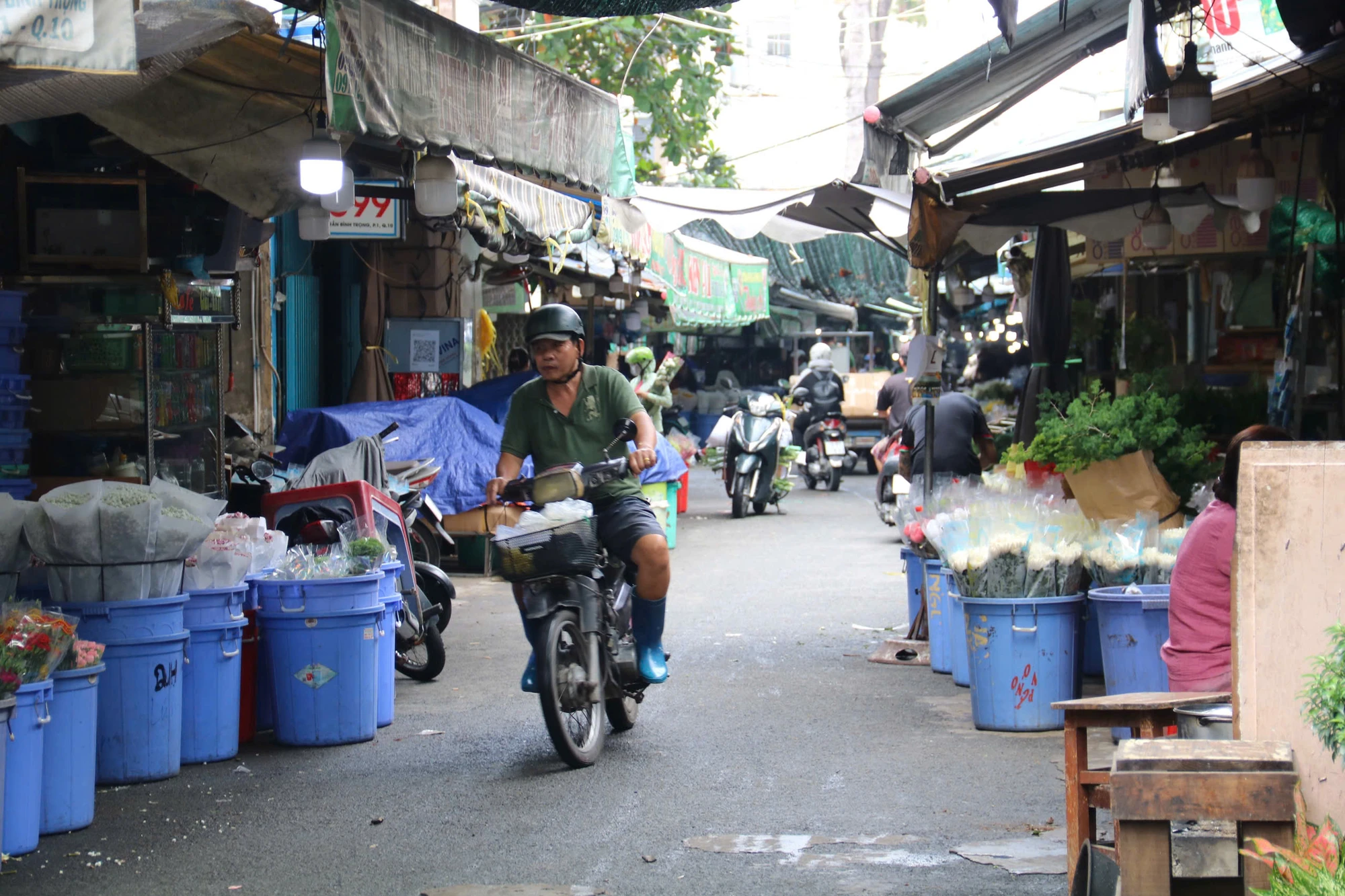 duong-tran-binh-trong-10.jpg