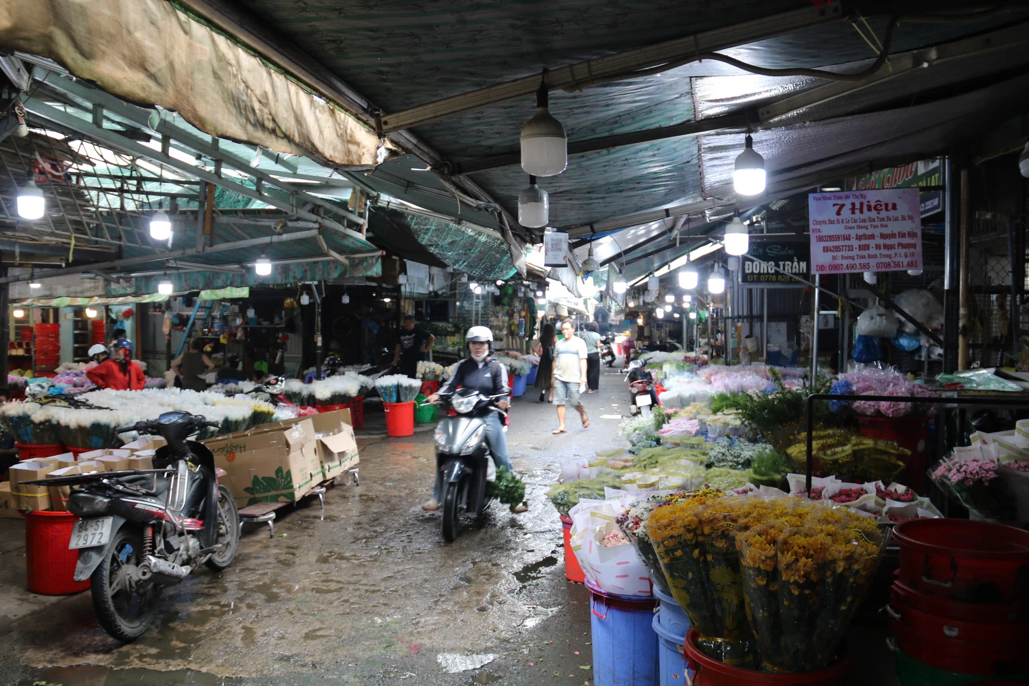 duong-tran-binh-trong-13.jpg
