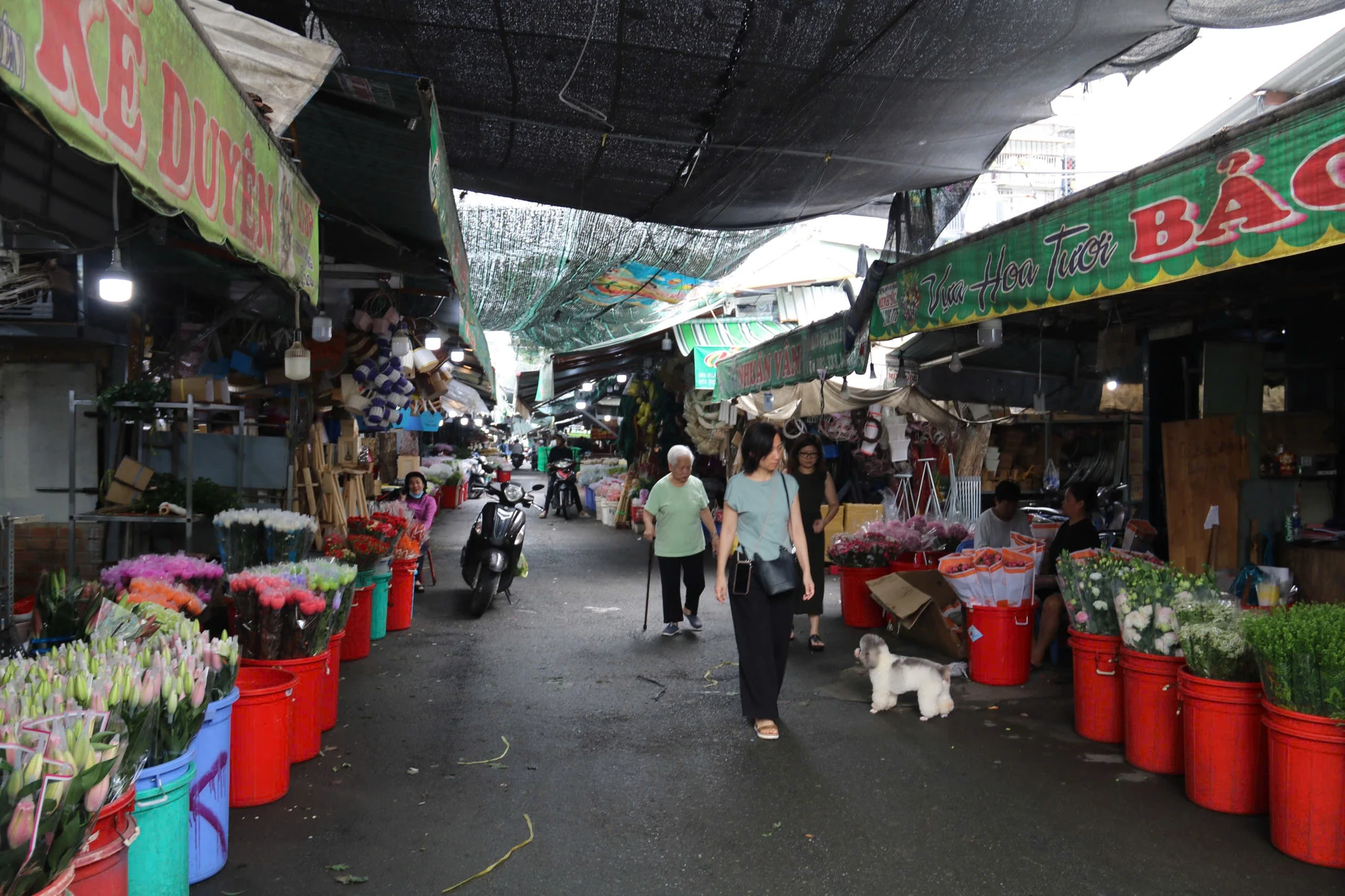 duong-tran-binh-trong-14.jpg