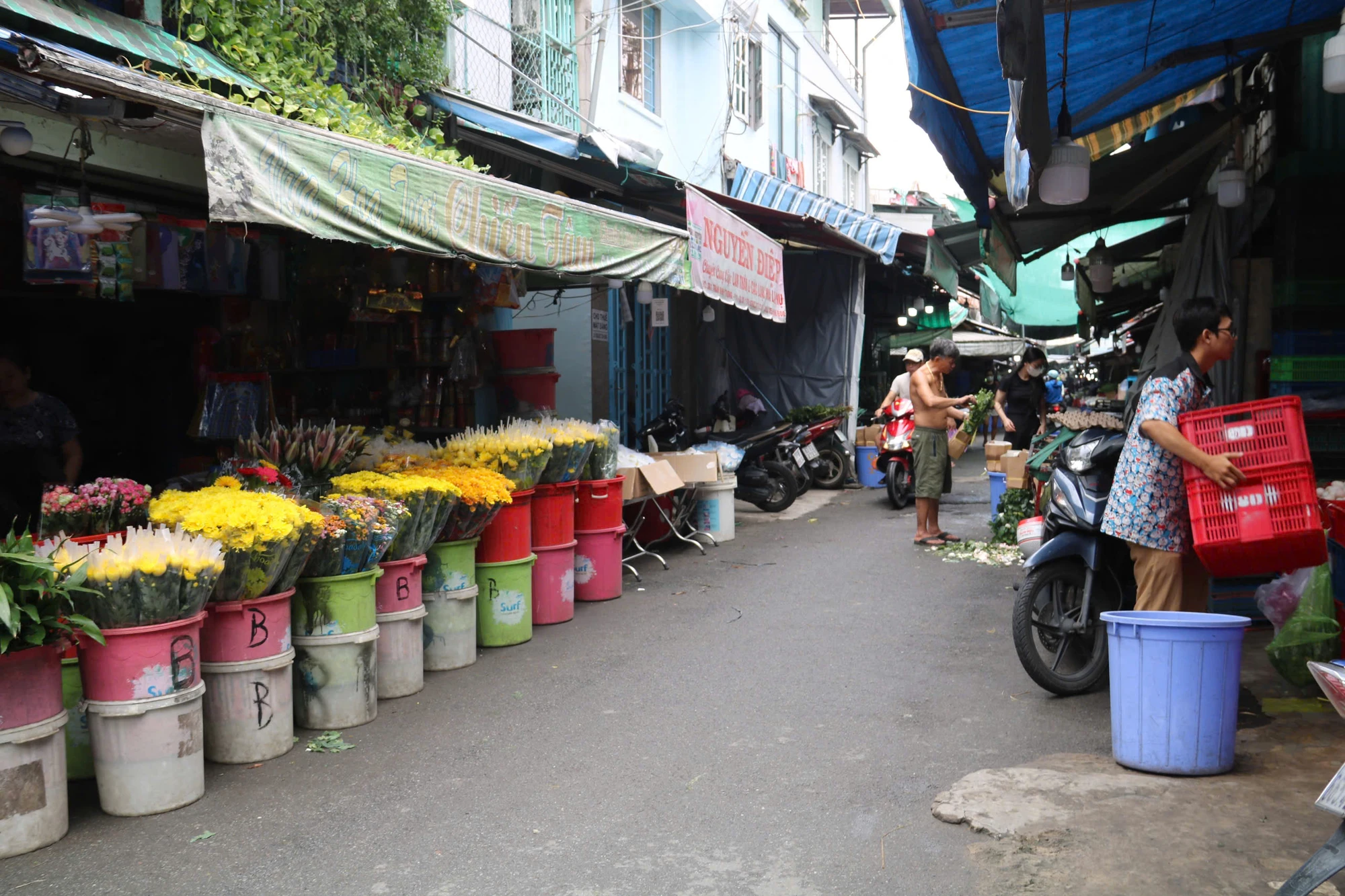 duong-tran-binh-trong-8.jpg