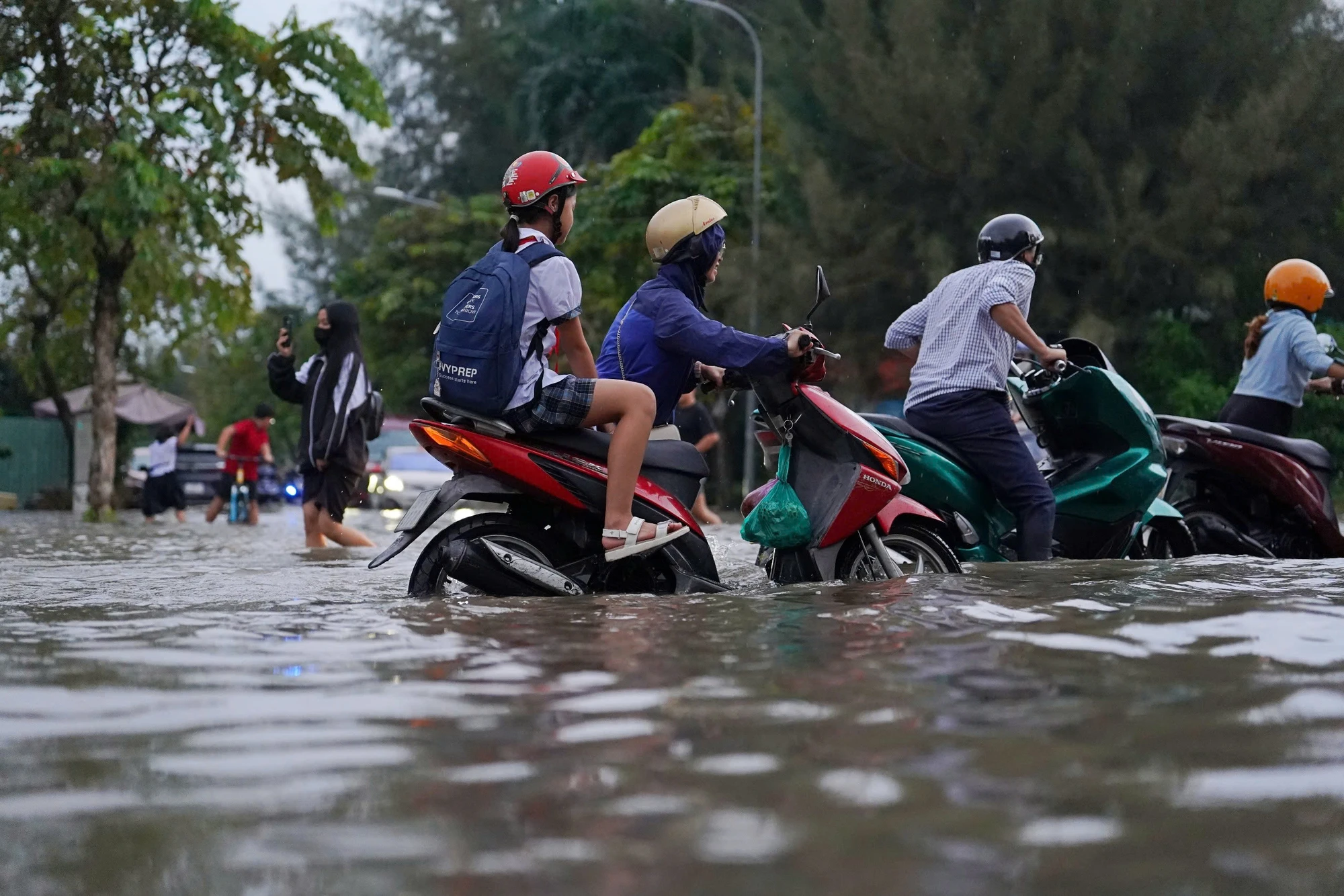 trieu-cuong-40.jpg