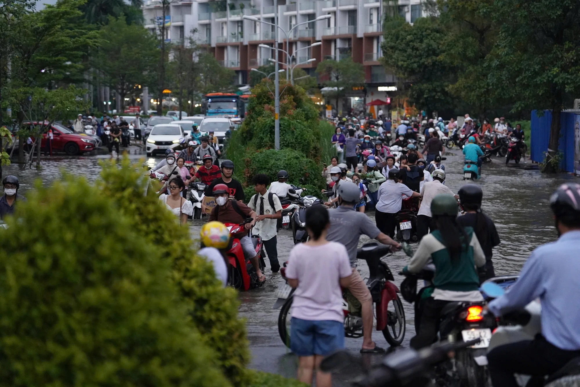 trieu-cuong-42.jpg