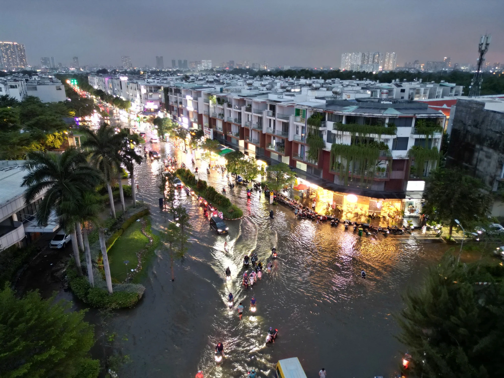 trieu-cuong-43.jpg