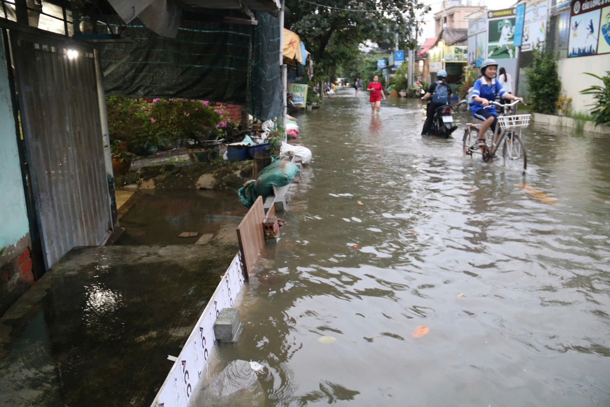 trieu-cuong-67.jpg