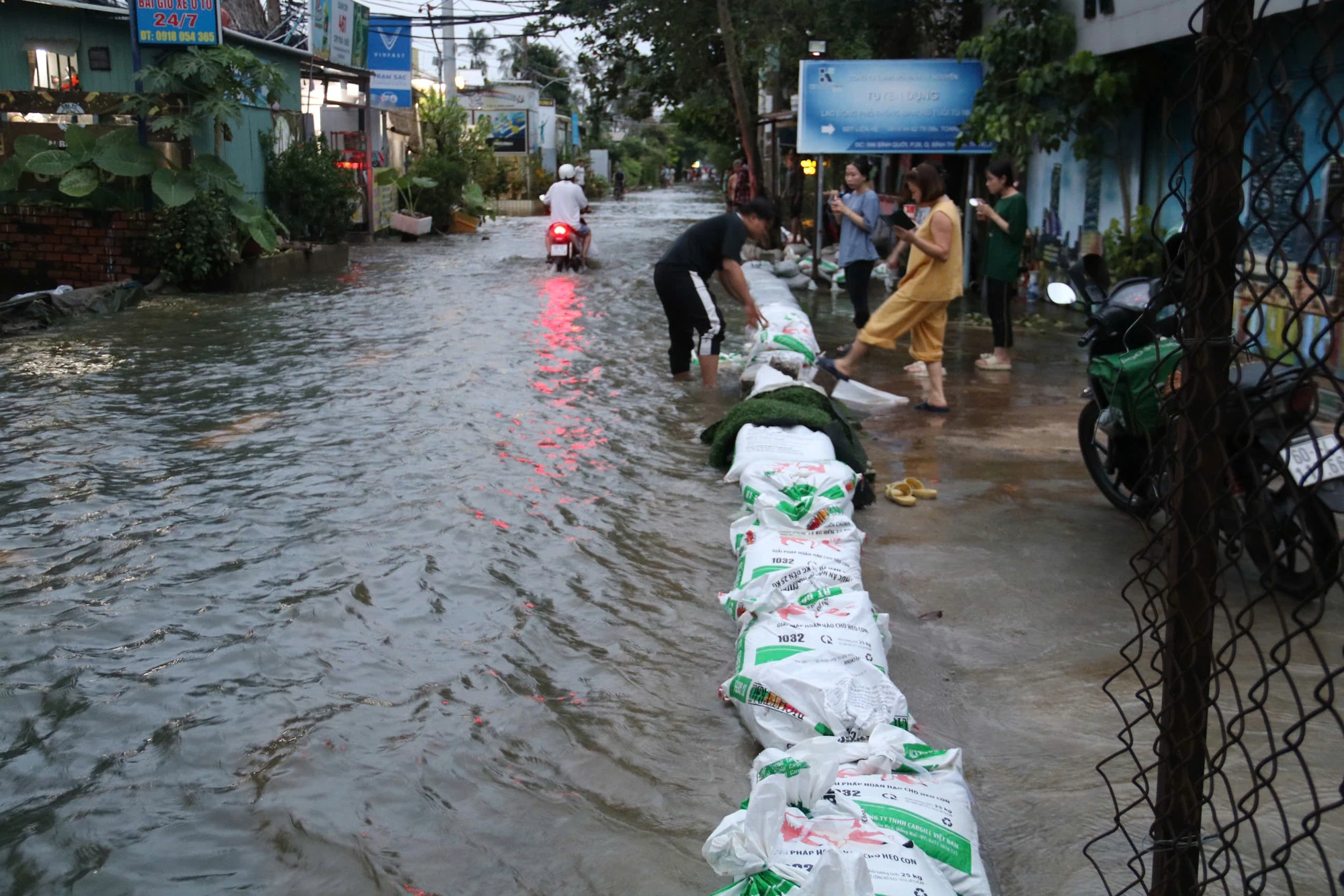 trieu-cuong-70.jpg