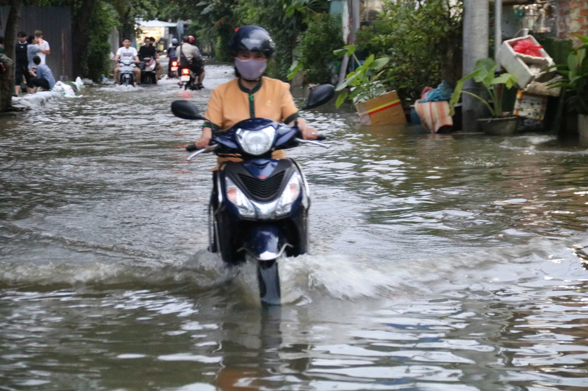 trieu-cuong-84.jpg
