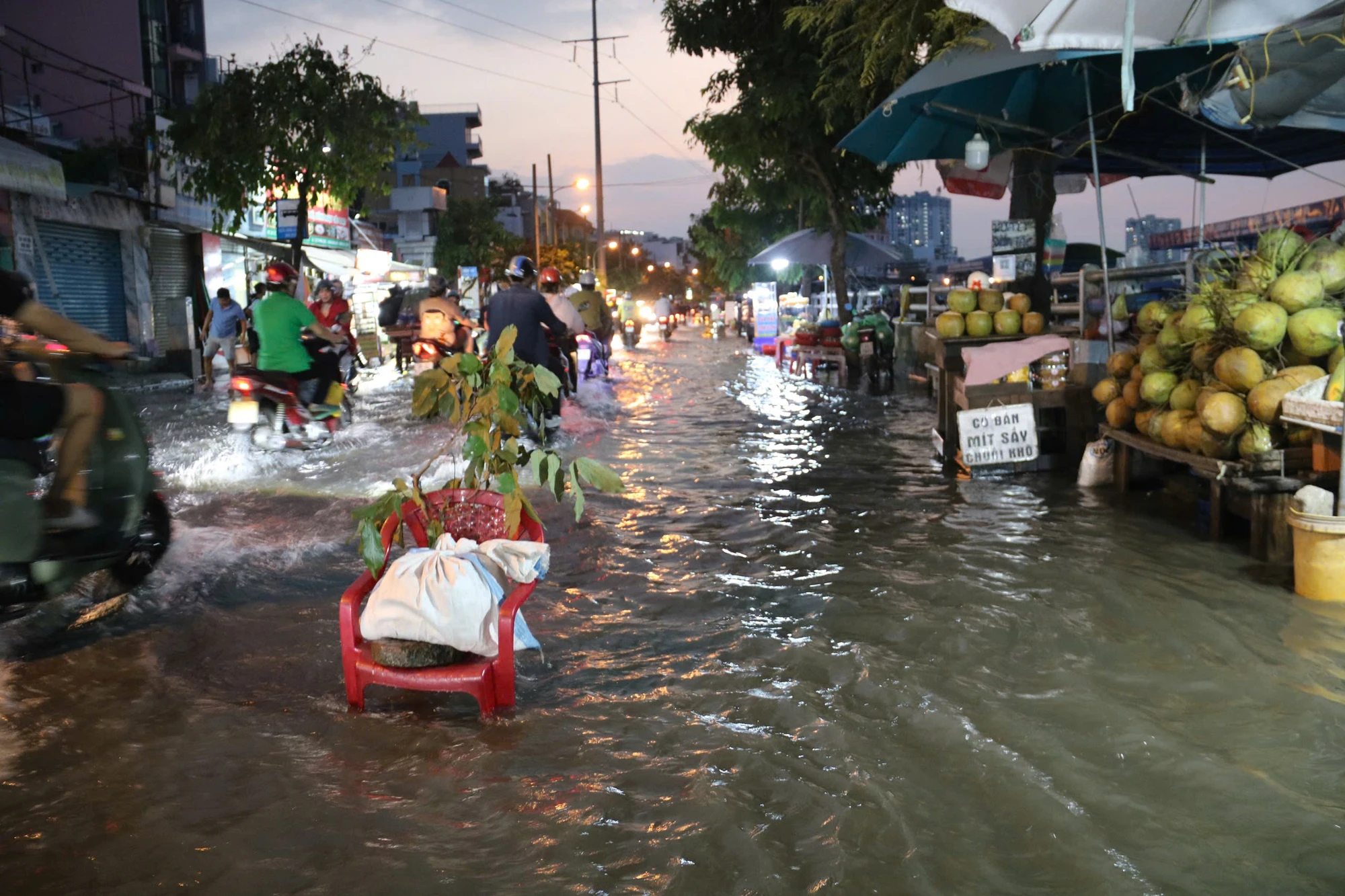 trieu-cuong-100.jpg