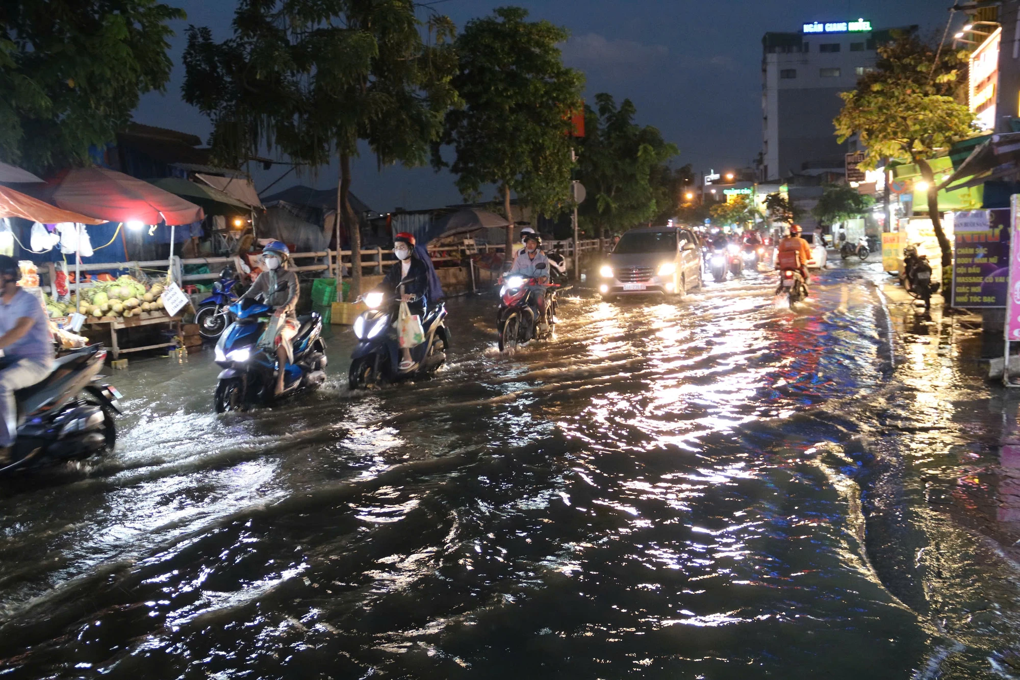 trieu-cuong-94.jpg
