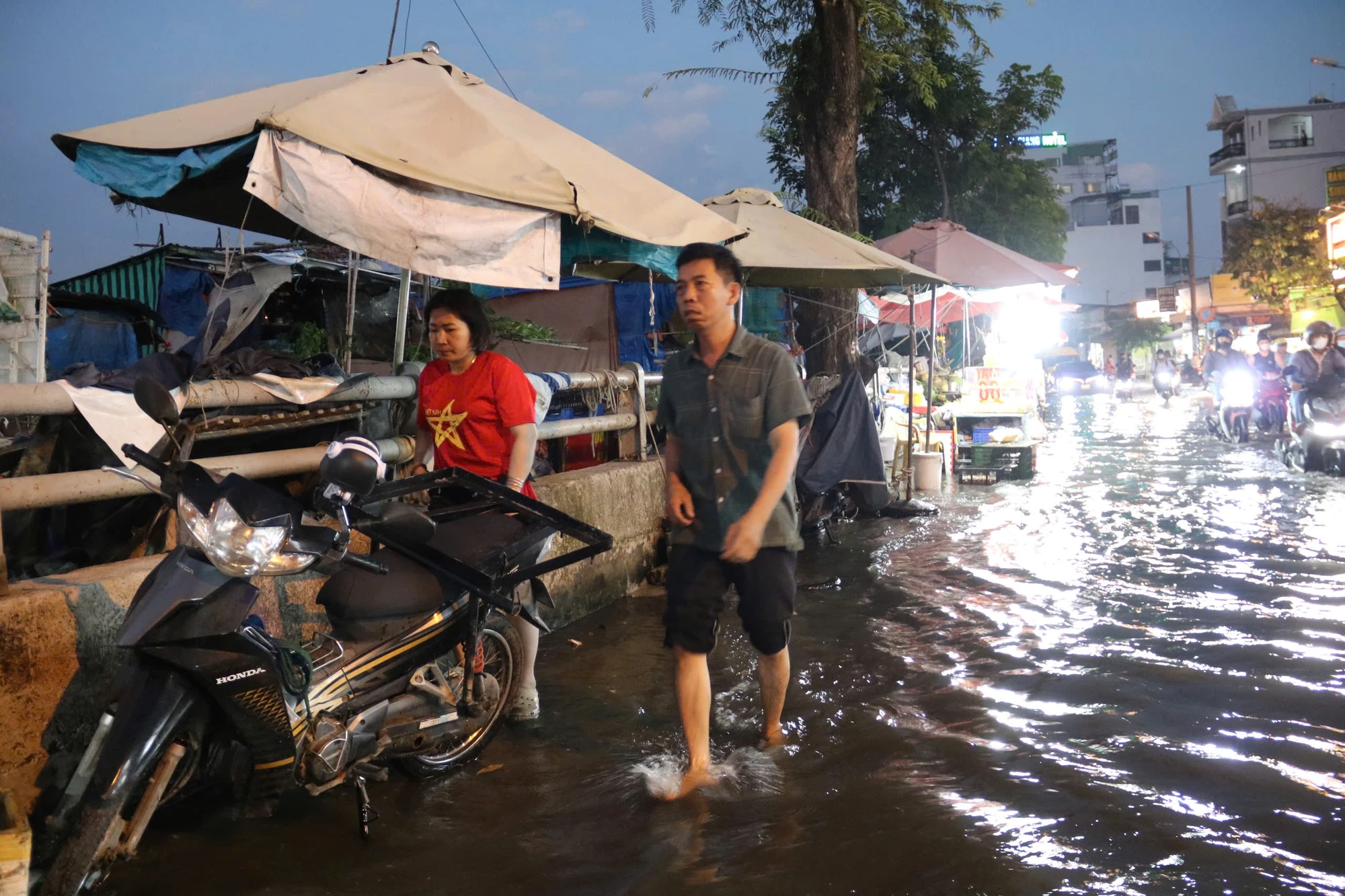 trieu-cuong-95.jpg