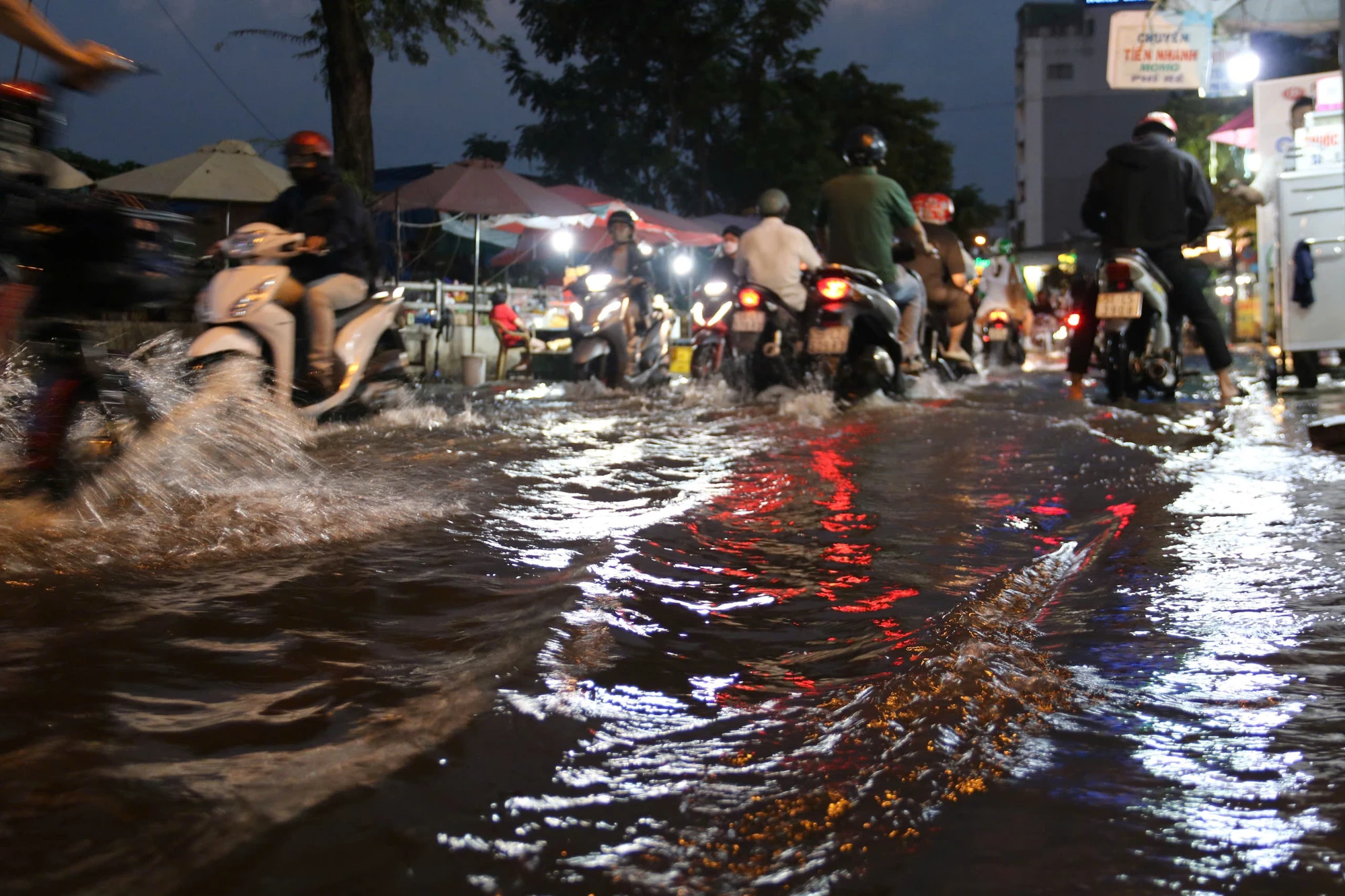 trieu-cuong-99.jpg
