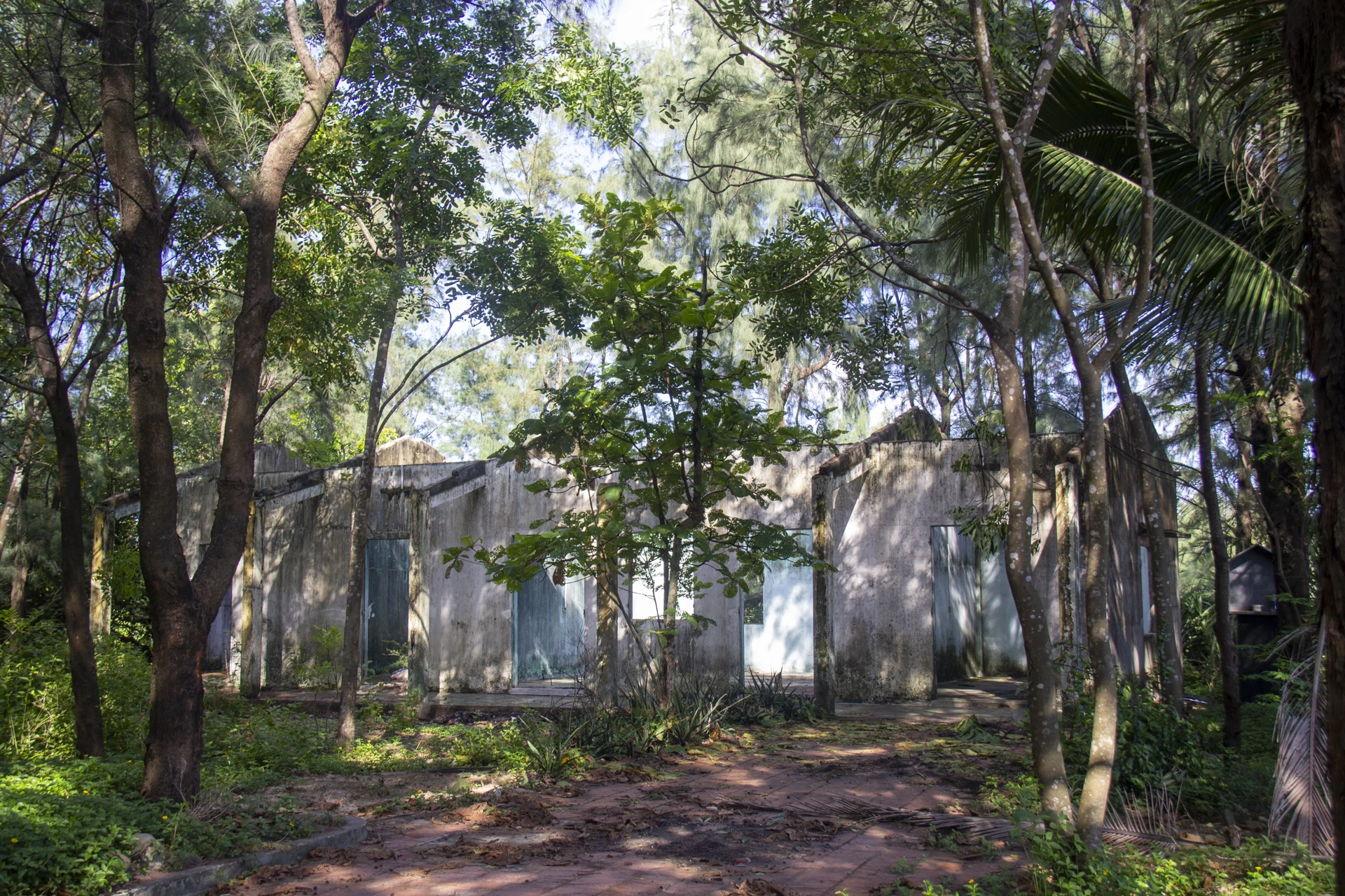 du-an-o-cua-viet-28.jpg