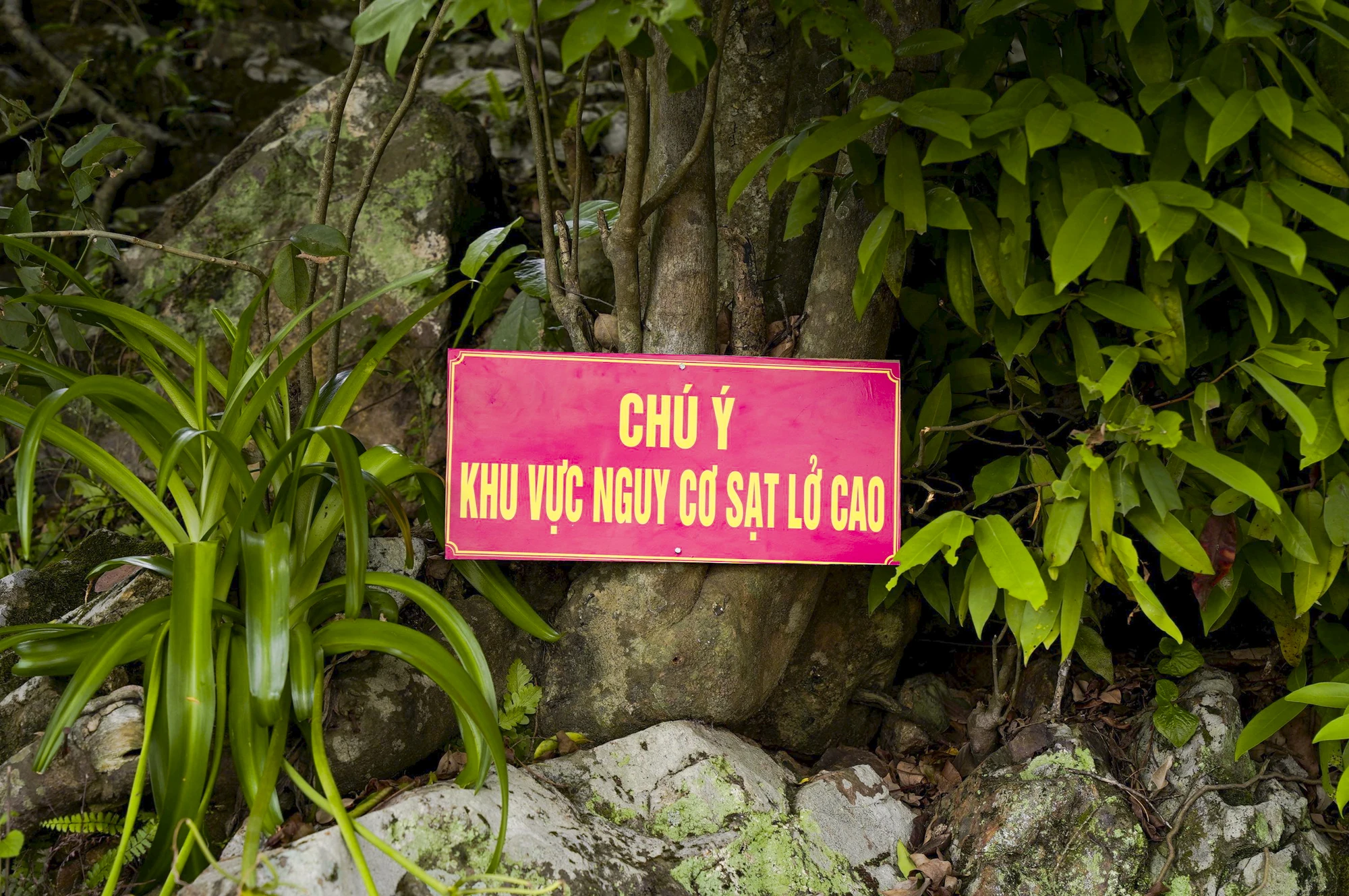 dien-hon-chen-10.jpg