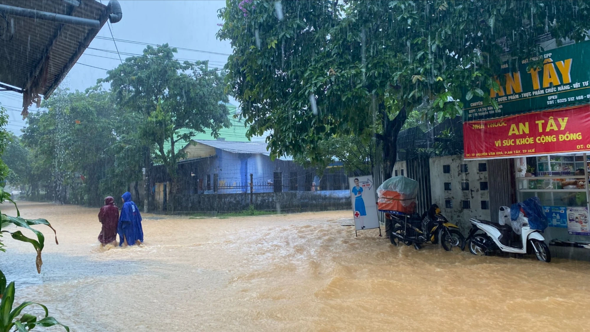 loi-bo-trong-nuoc.jpg