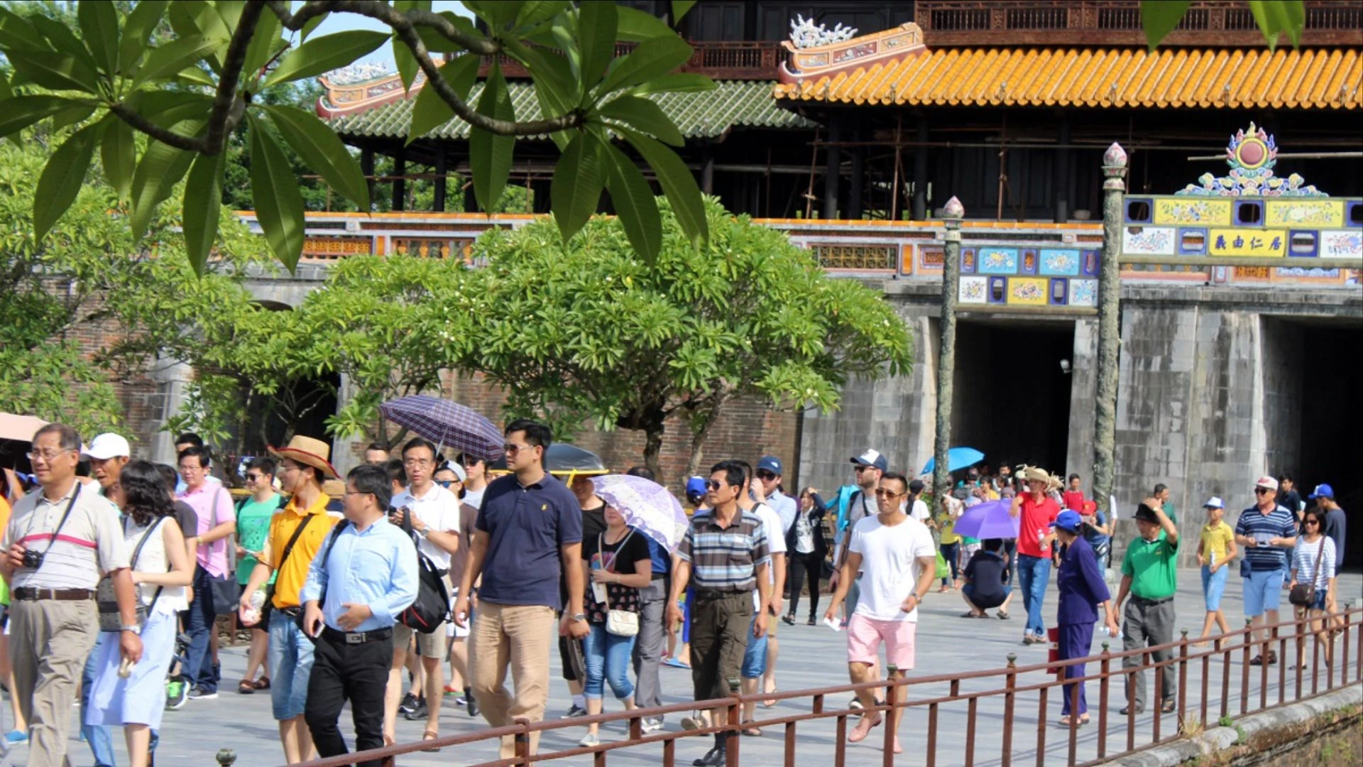 dai-noi-hue-aiql-4650.jpg