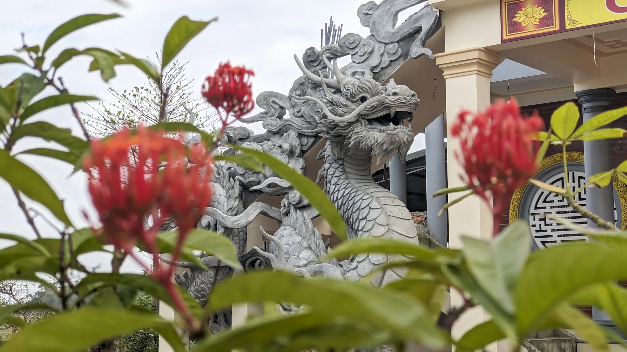 Linh vật rồng sắp được trình làng