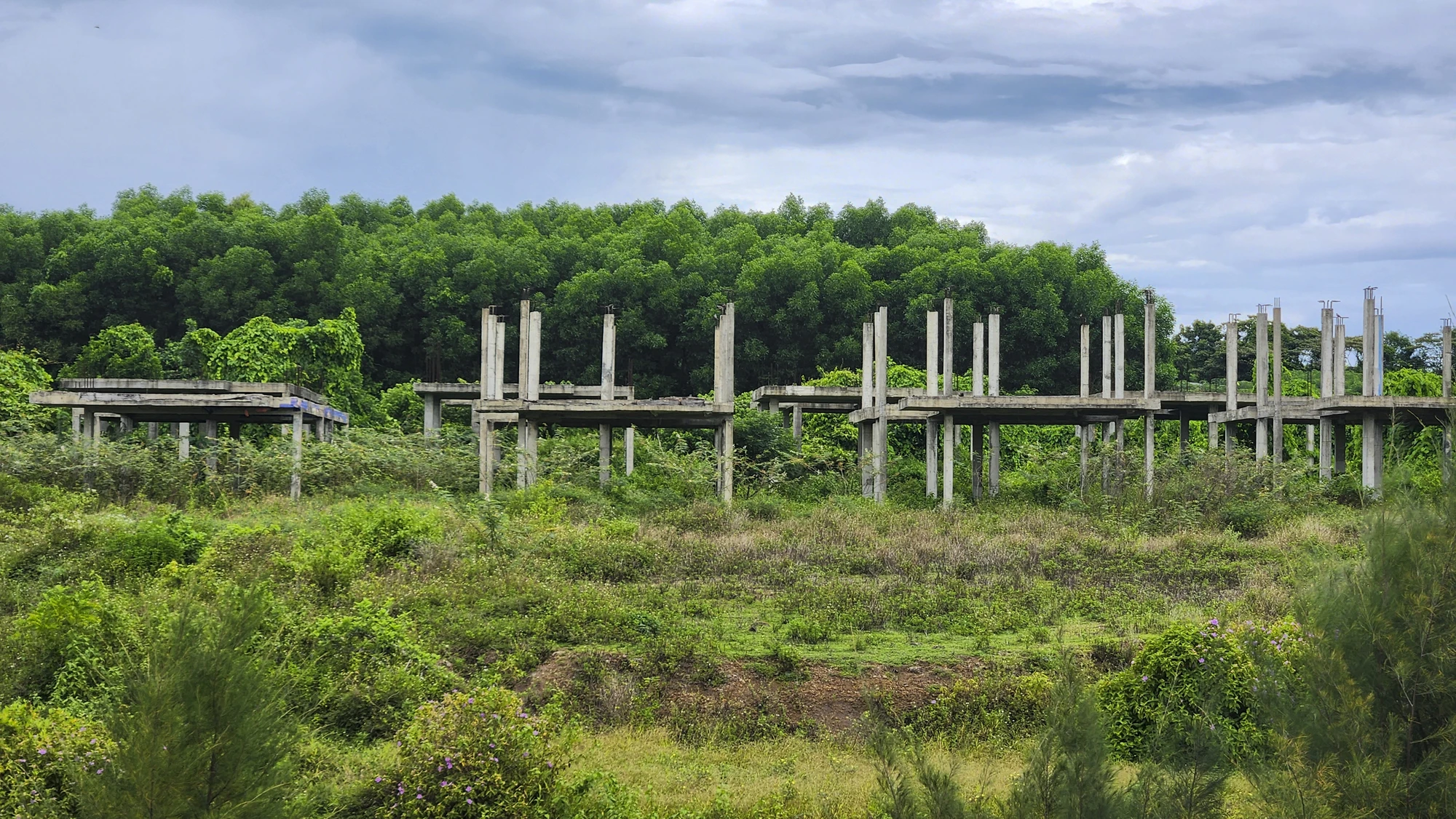 cay-co-phu-kin-du-an-khu-do-thi-sinh-thai-bien-gan-500-ti (12).jpg